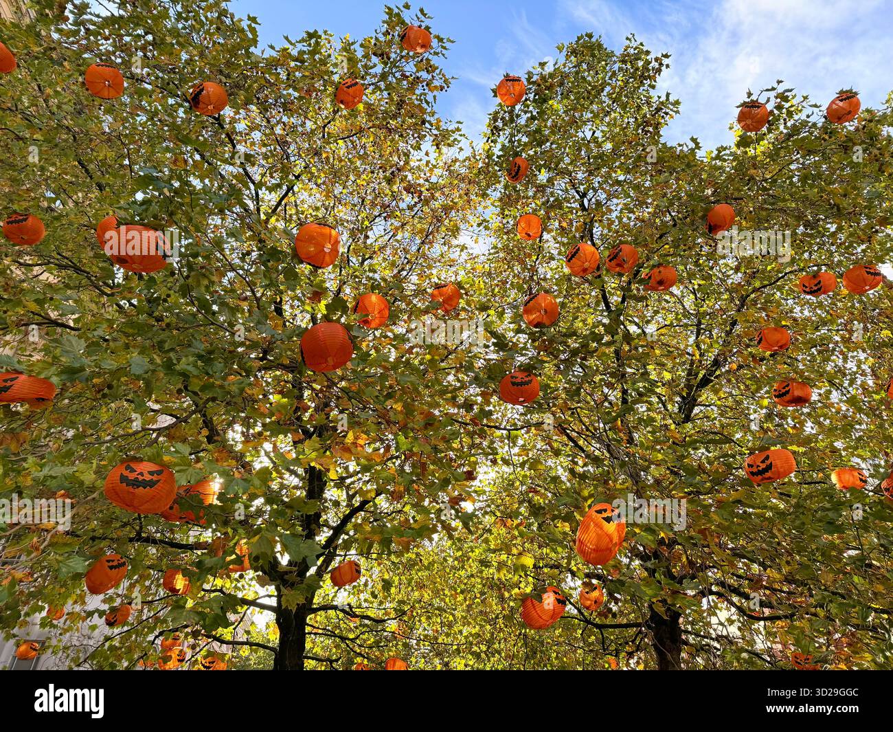 Manchester city centre. St Anne’s Square and orange Halloween lanterns in autumnal trees. - Smartphone Captured Stock Image