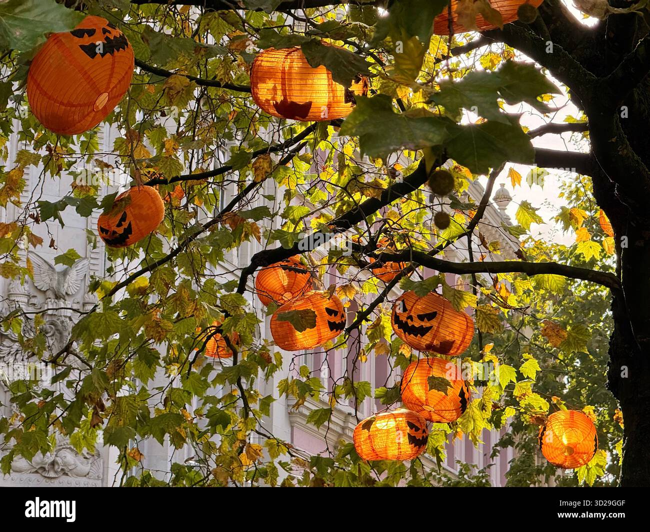 Manchester city centre. St Anne’s Square and orange Halloween lanterns in autumnal trees. - Smartphone Captured Stock Image