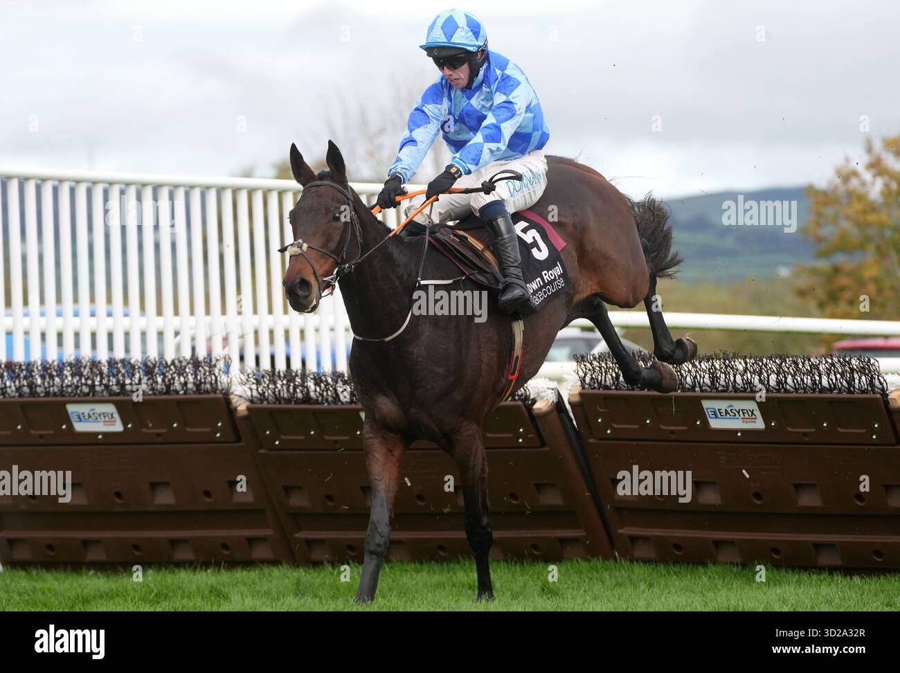 Ebf Farming Roya Some Song ridden by Darragh O'Keeffe on their way to winning the Irish ...