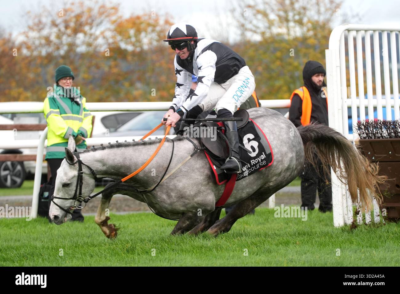 Ebf Farming Roya Theflyingking ridden by Jack Kennedy as they fall to the ground during ...