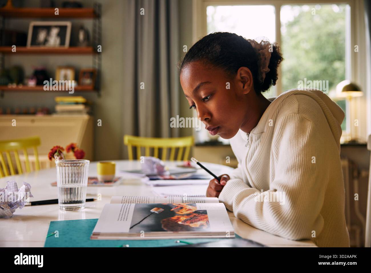 Focused girl reading book while studying at home Stock Photo