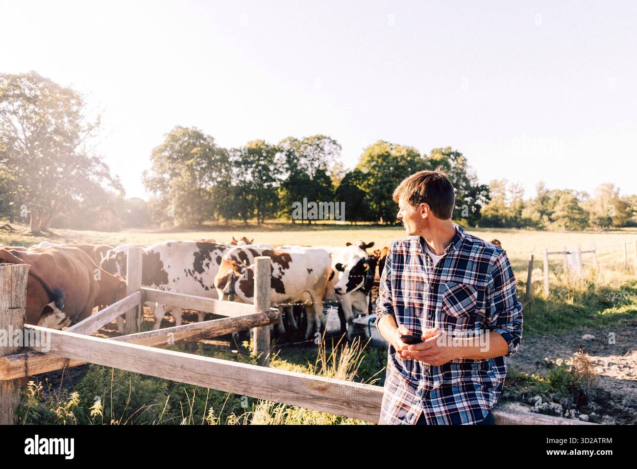 Farmer holding smart phone and looking away while leaning on fence at farm Stock Photo