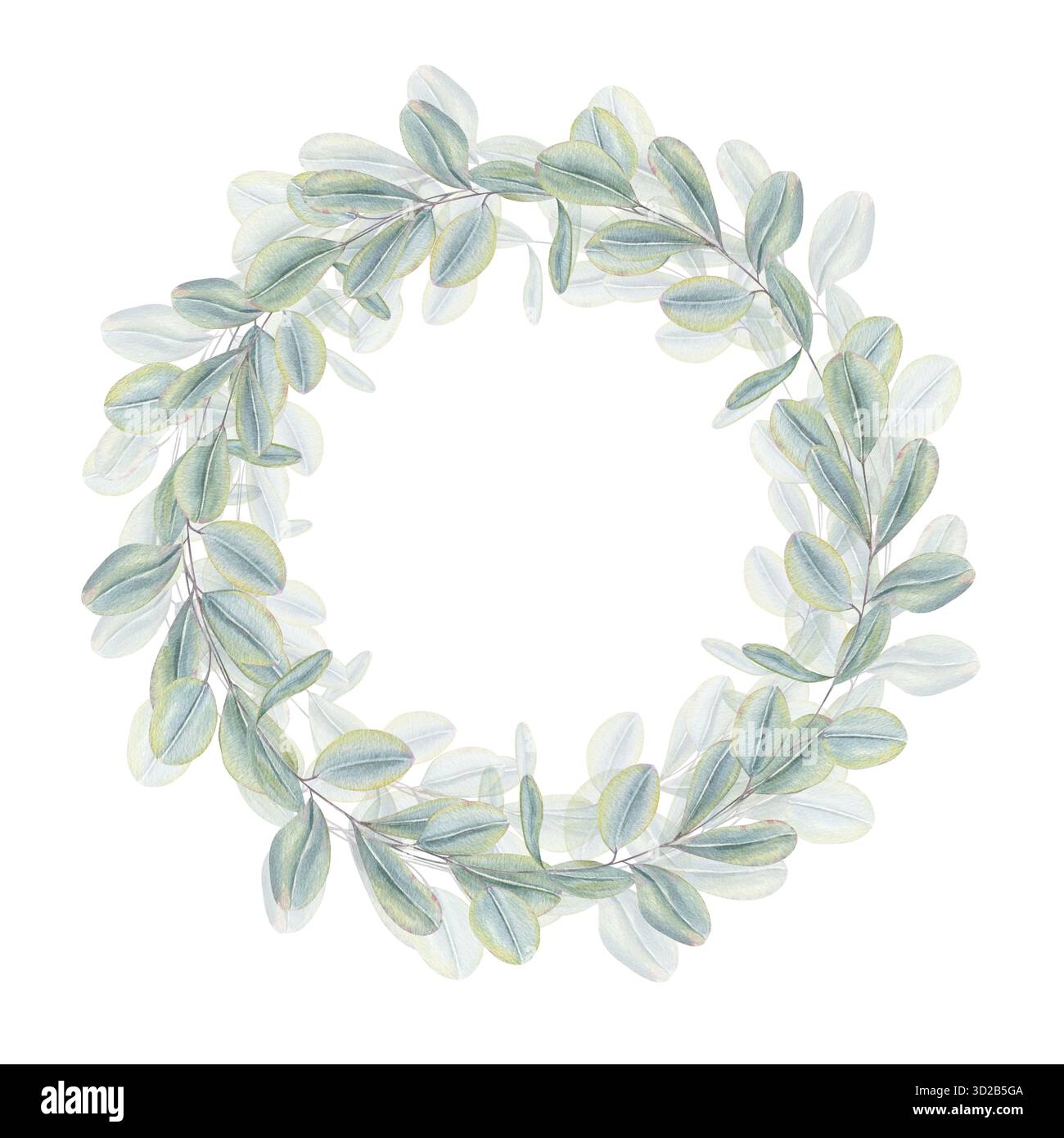 Round tropical leaves frame Cut Out Stock Images Pictures Alamy