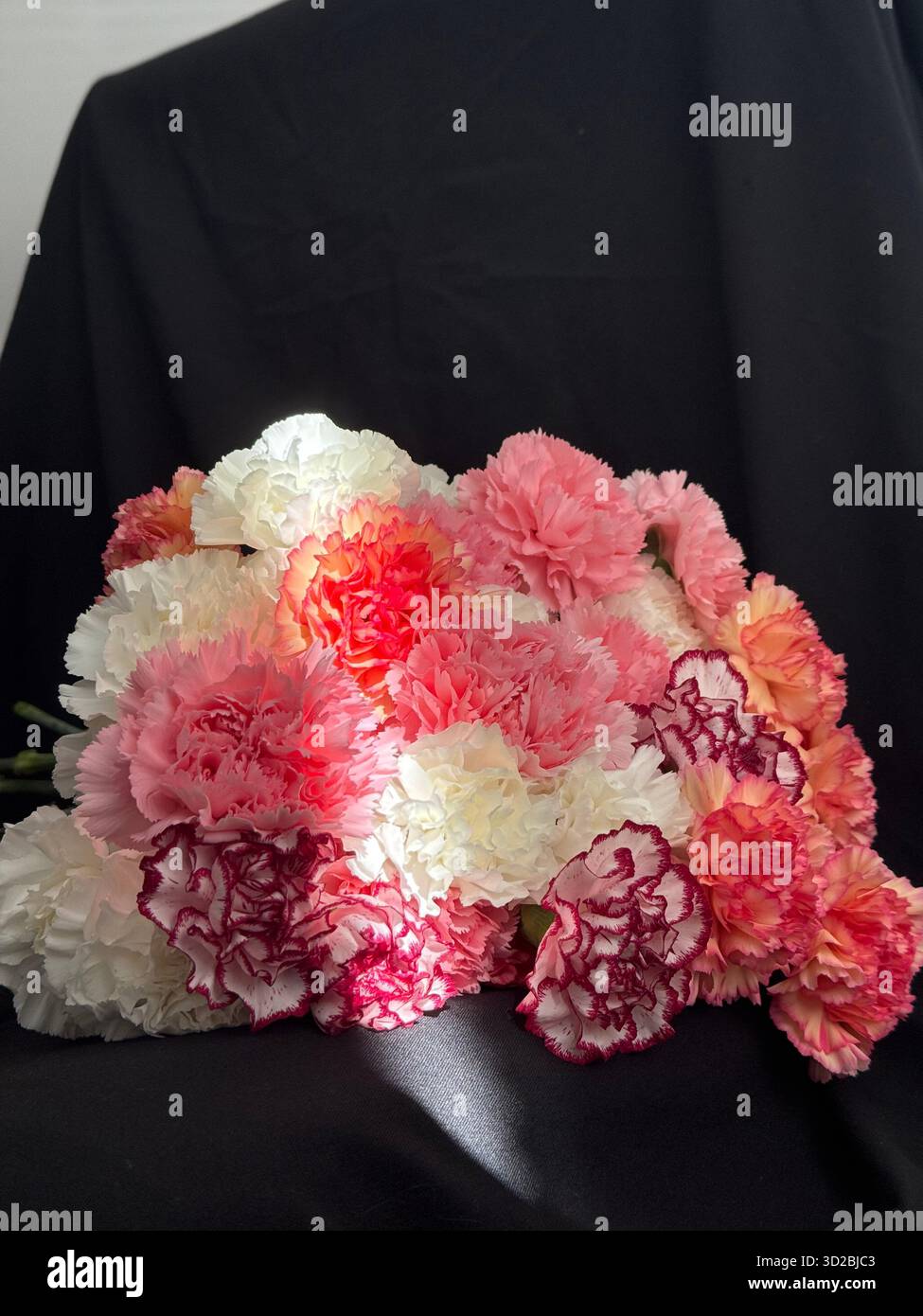 Bouquet of pink, white and red carnations on black fabric background, bright natural light and shadows. - Smartphone Captured Stock Image