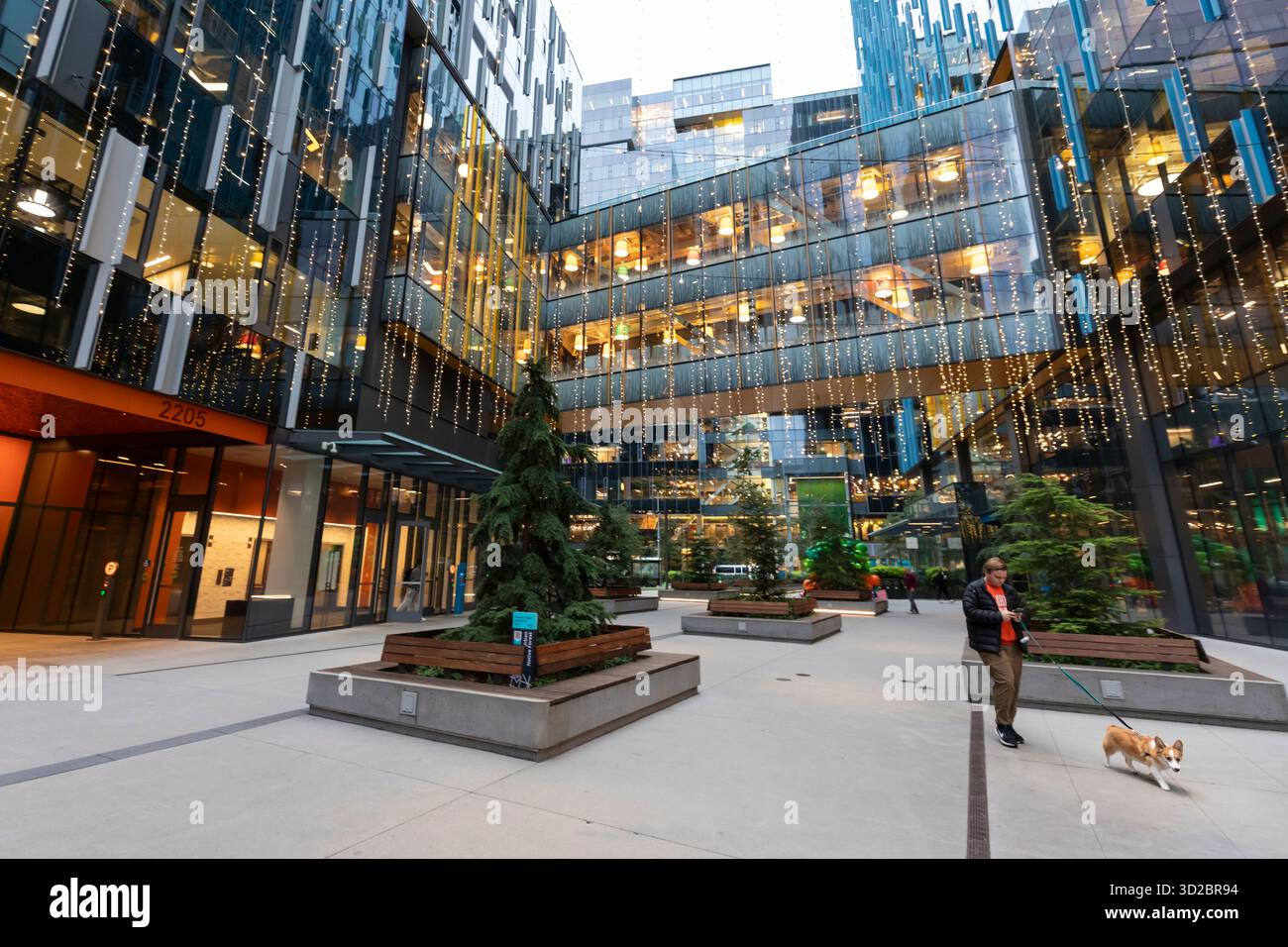 Seattle, Washington, USA. 31st October 2025. Employees, many with their dogs, come and go at Amazon Headquarters in Seattle’s South Lake Union neighborhood. This week the company announced an overall reduction in its corporate workforce of approximately 14,000 jobs. Credit: Paul Christian Gordon/Alamy Live News Stock Photo
