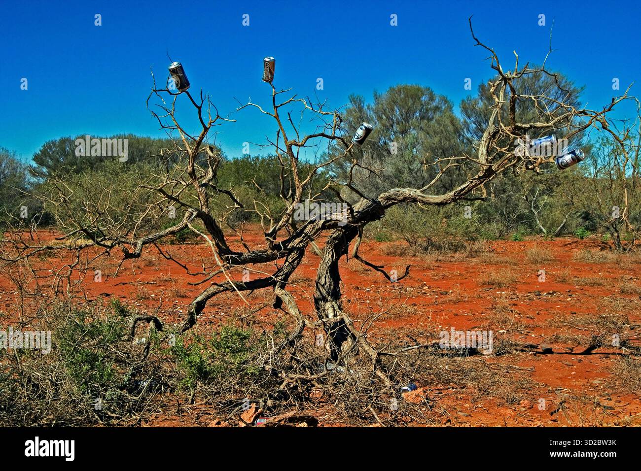 Beer cans placed on the branches of a dead tree in the red-soil outback ...