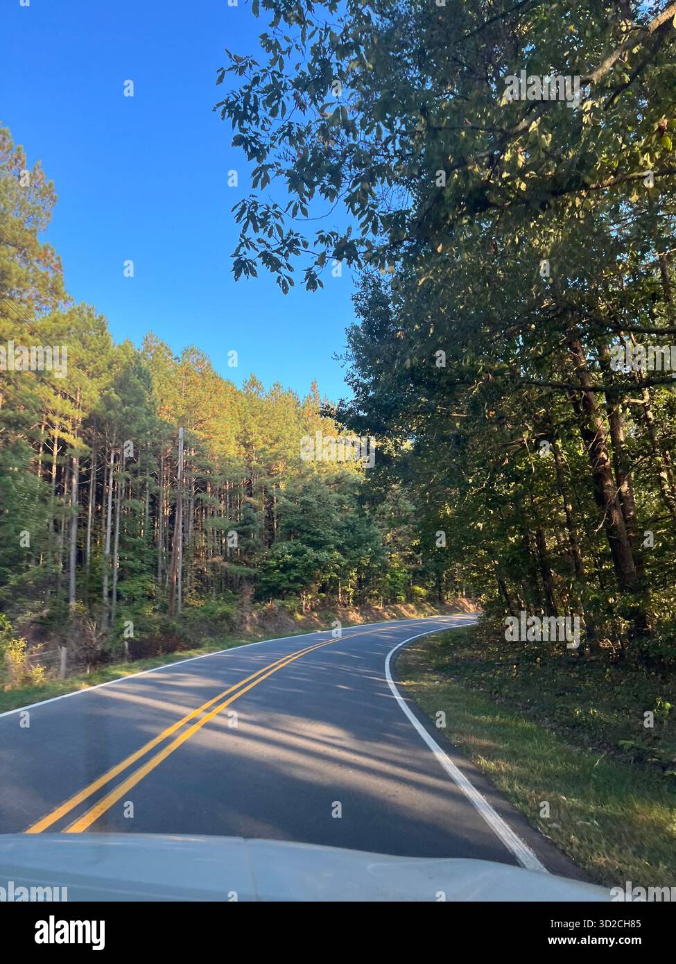 Scenic Nature Landscape Near Charlotte with Trees and road - Smartphone Captured Stock Image