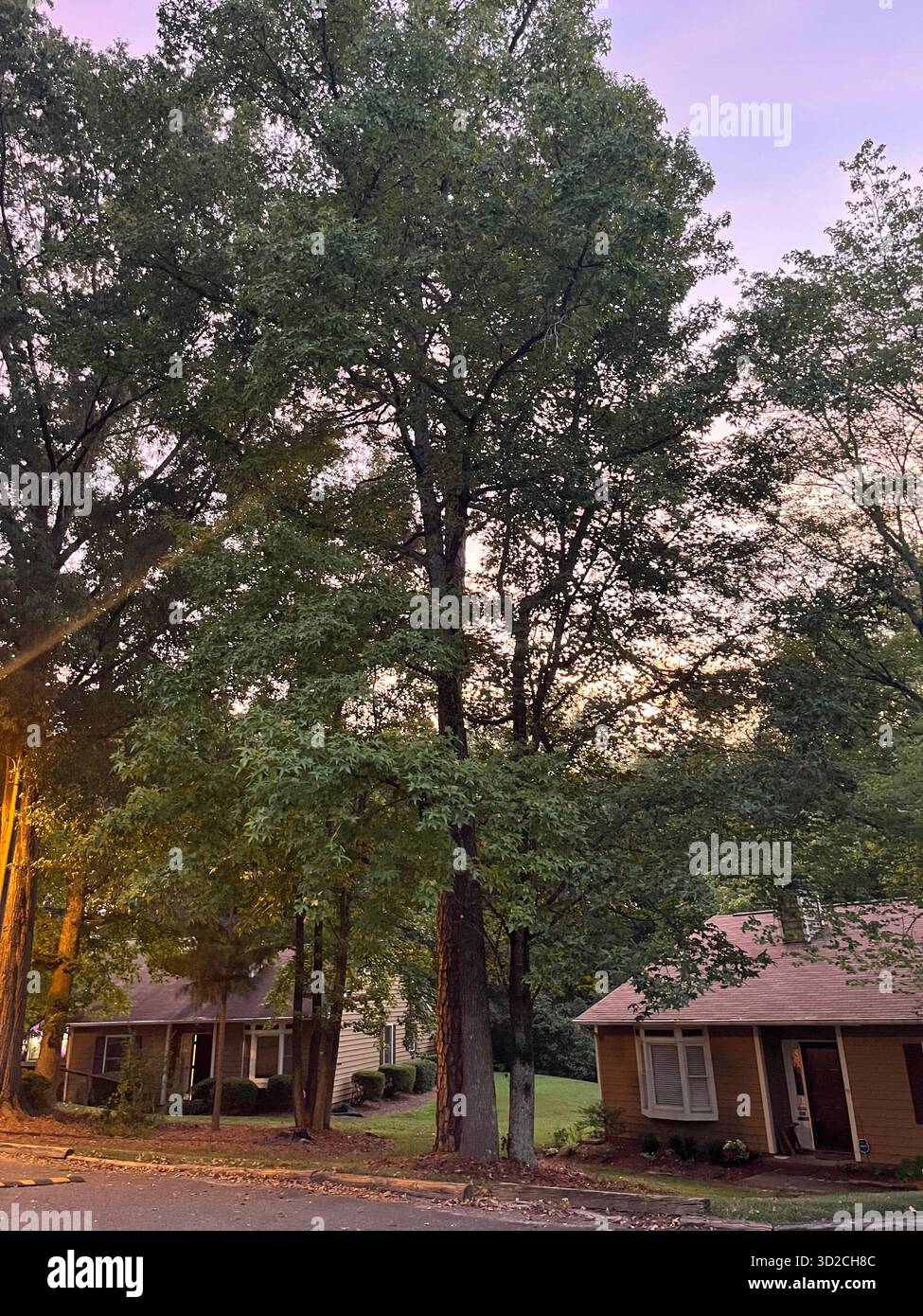 Scenic Nature Landscape Near Charlotte with Trees and Sky - Smartphone Captured Stock Image