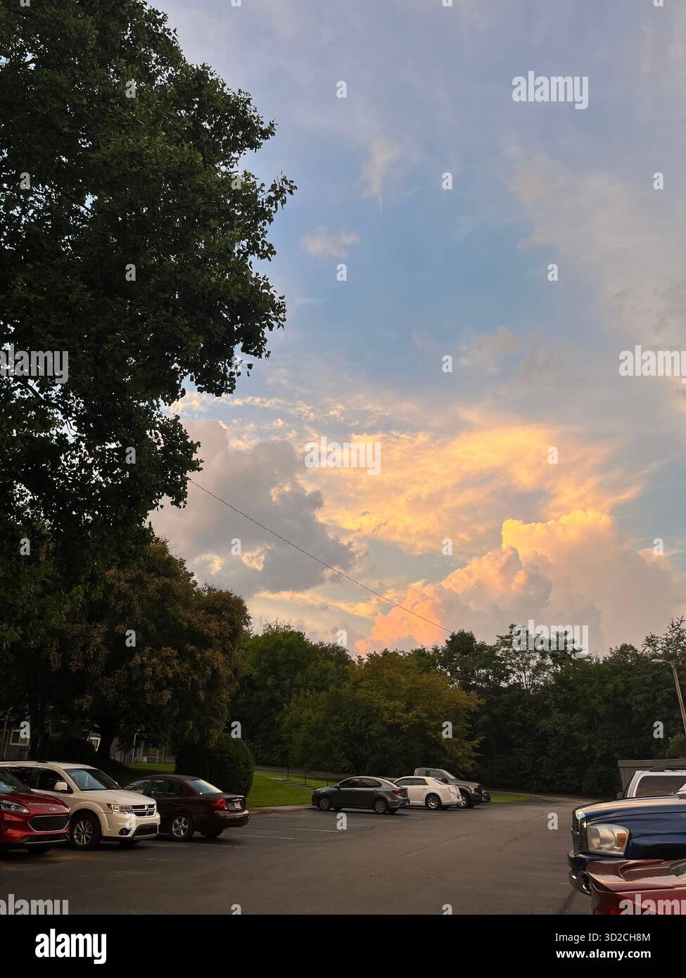 Scenic Nature Landscape Near Charlotte with Trees and Sky - Smartphone Captured Stock Image