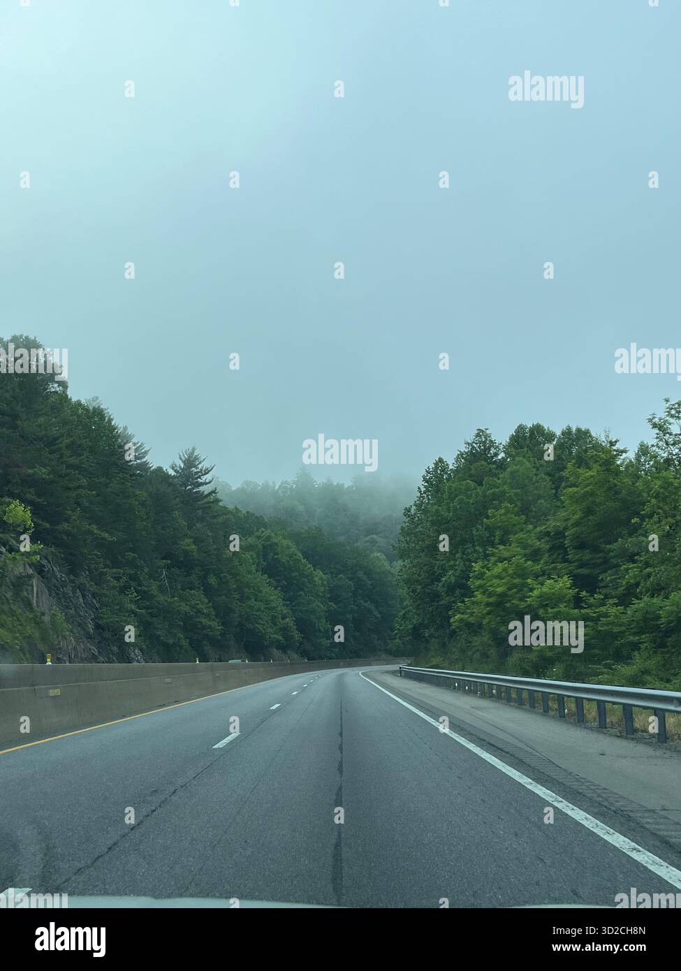 Scenic Nature Landscape Near Charlotte with Trees and Sky - Smartphone Captured Stock Image
