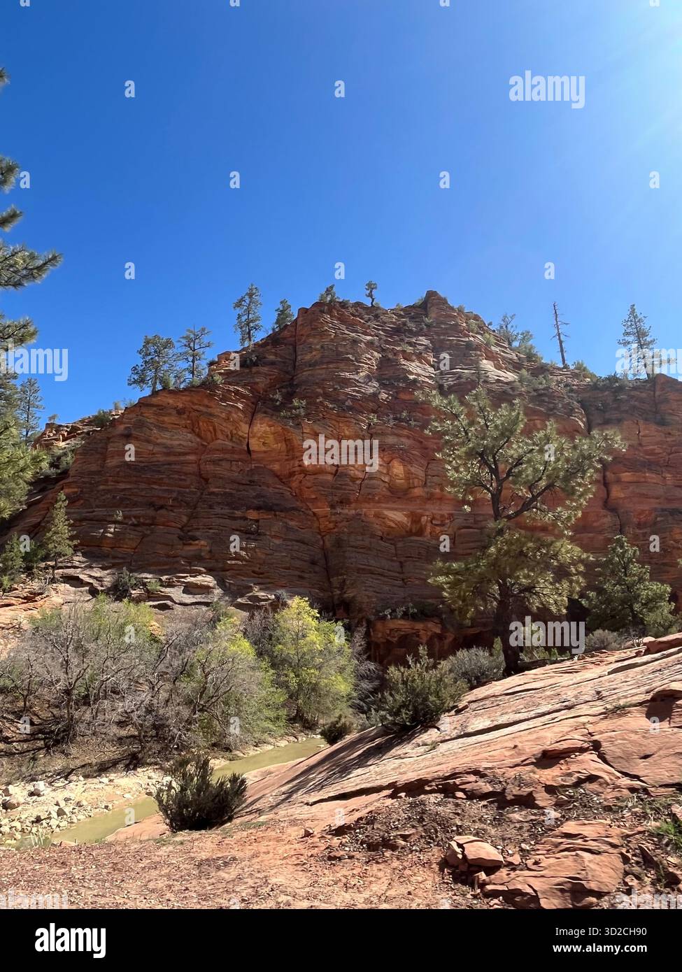Mountain scenery and roads in Zion National Park, Utah, USA - Smartphone Captured Stock Image