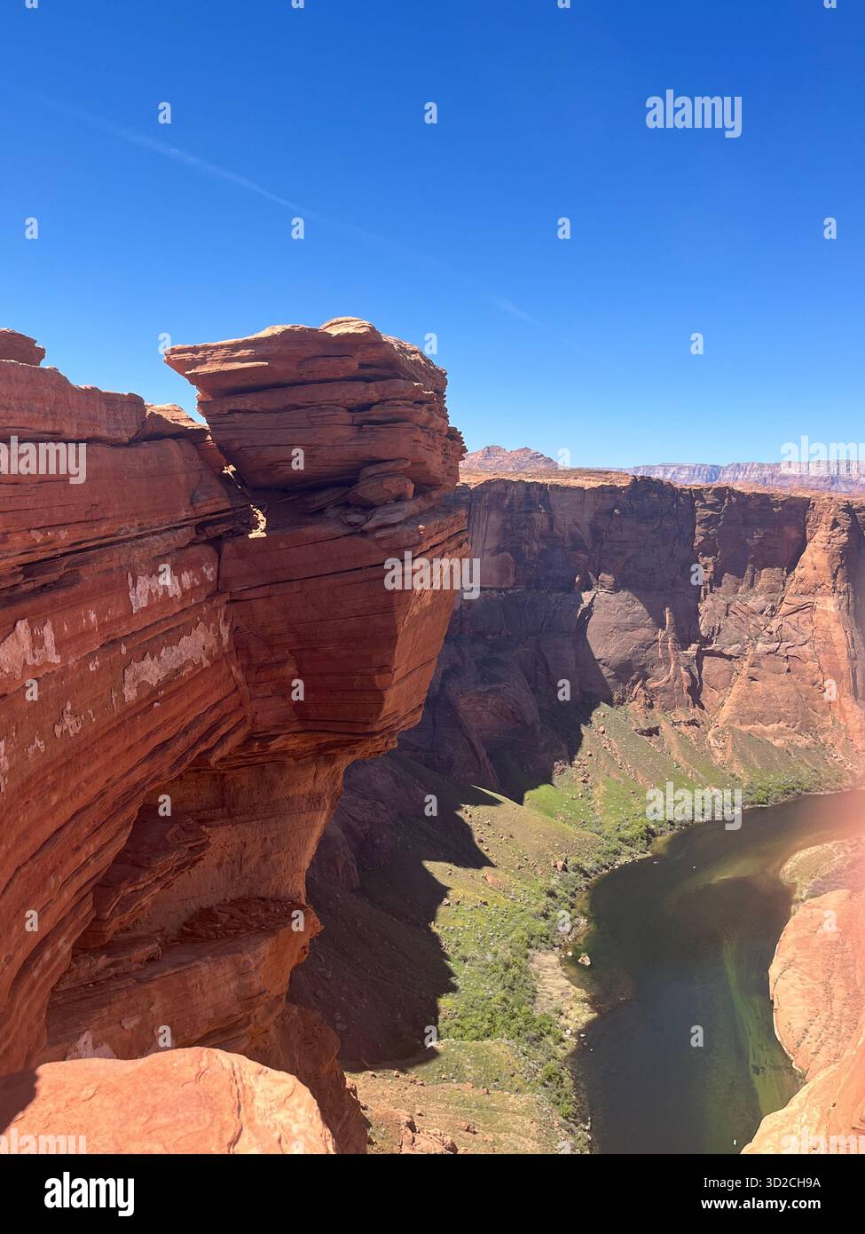 Grand Canyon: desert landscape, flowering plants, sandstone cliffs and a river - Smartphone Captured Stock Image