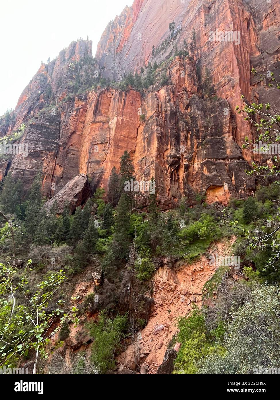 Mountain scenery and roads in Zion National Park, Utah, USA - Smartphone Captured Stock Image