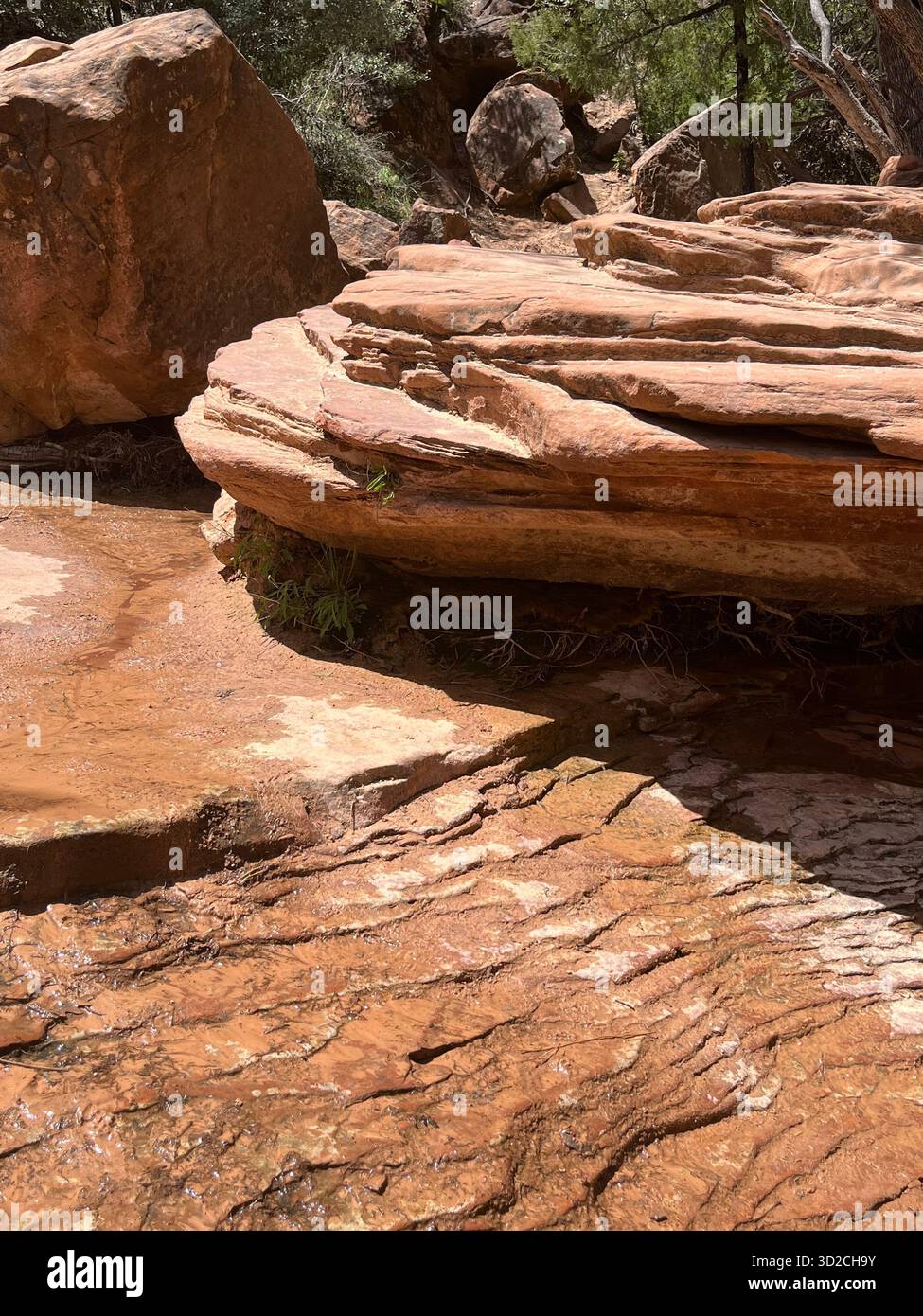 Mountain scenery and roads in Zion National Park, Utah, USA - Smartphone Captured Stock Image