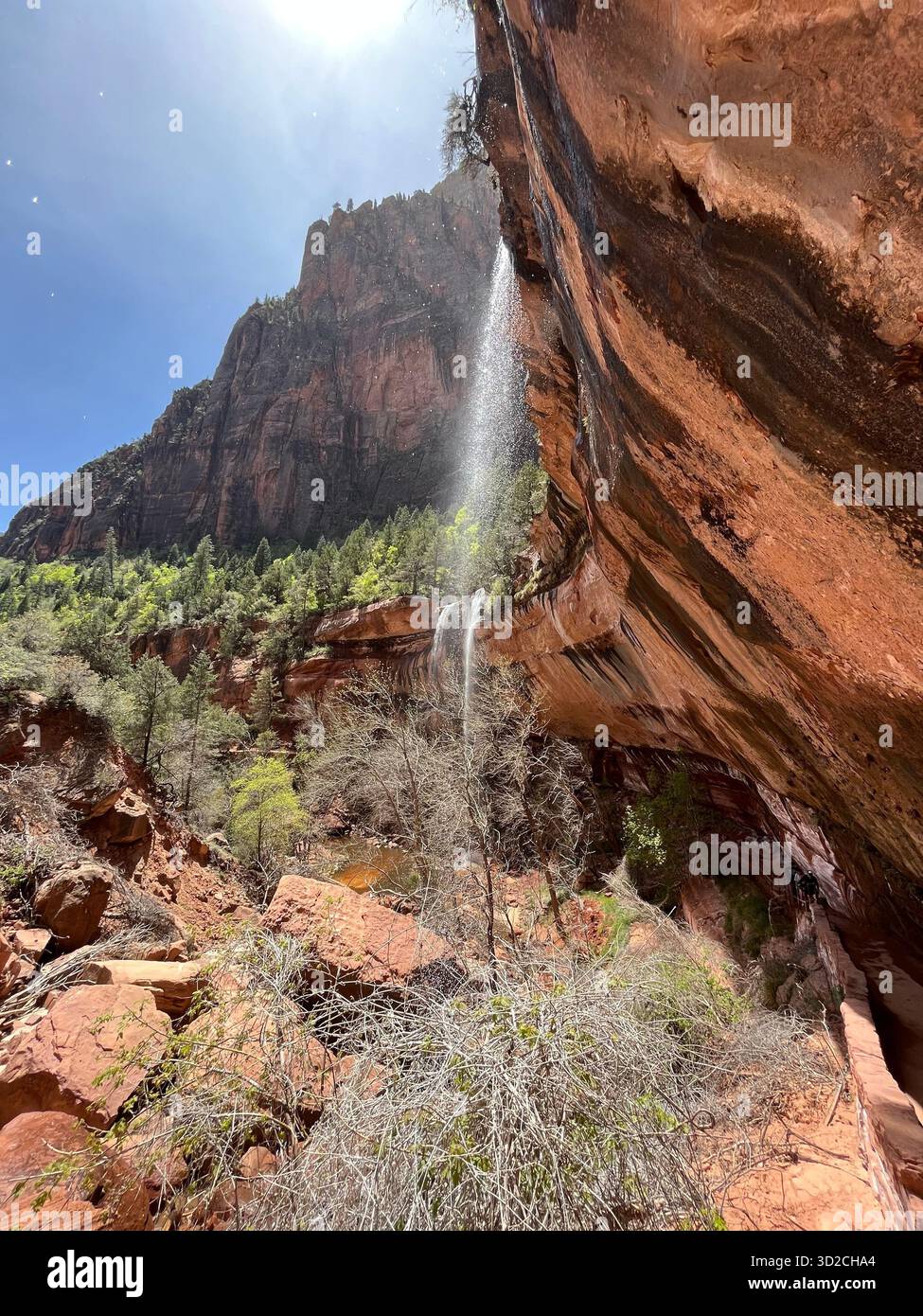Mountain scenery and roads in Zion National Park, Utah, USA - Smartphone Captured Stock Image