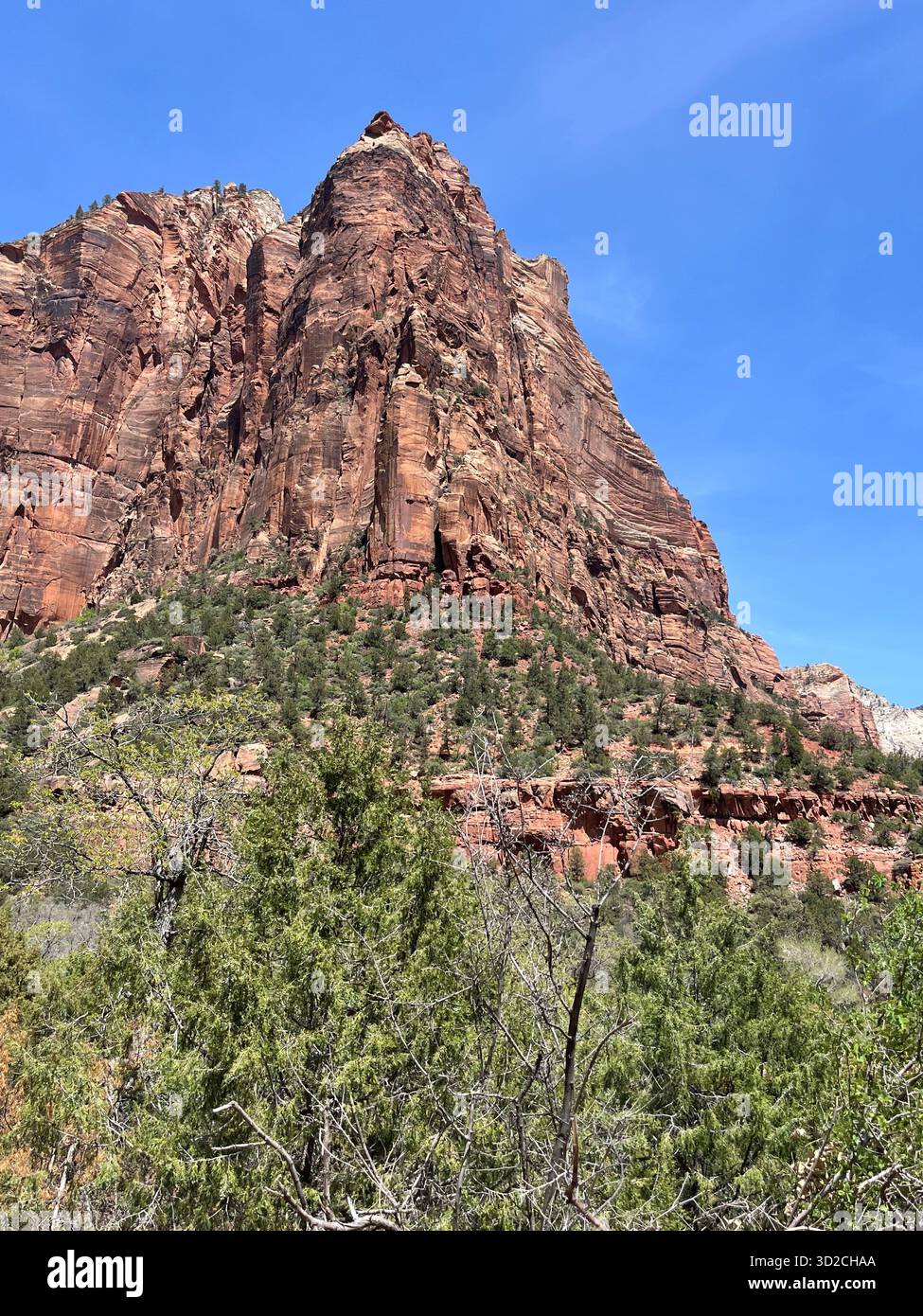 Mountain scenery and roads in Zion National Park, Utah, USA - Smartphone Captured Stock Image