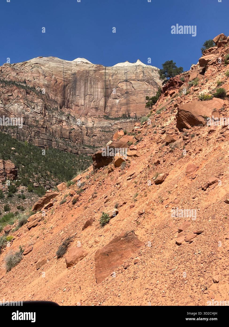 Scenic red rock formations in Zion National Park, Utah, USA - Smartphone Captured Stock Image