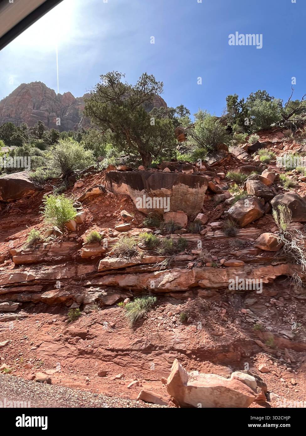 Scenic red rock formations in Zion National Park, Utah, USA - Smartphone Captured Stock Image