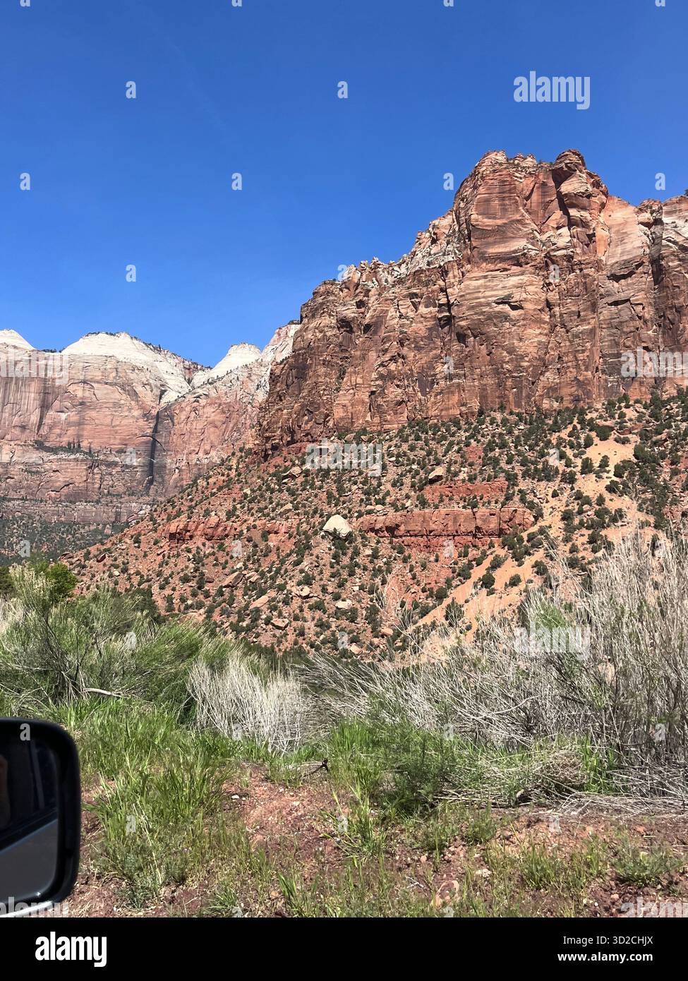 Scenic red rock formations in Zion National Park, Utah, USA - Smartphone Captured Stock Image