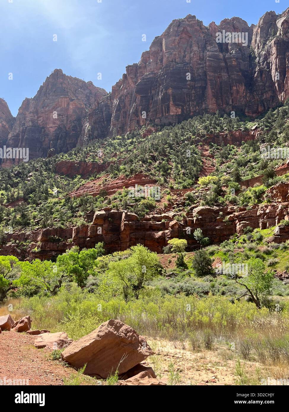 Scenic red rock formations in Zion National Park, Utah, USA - Smartphone Captured Stock Image