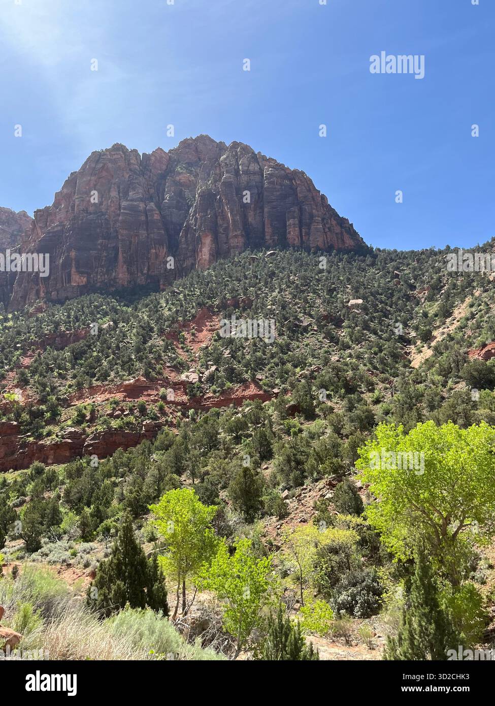 Scenic red rock formations in Zion National Park, Utah, USA - Smartphone Captured Stock Image