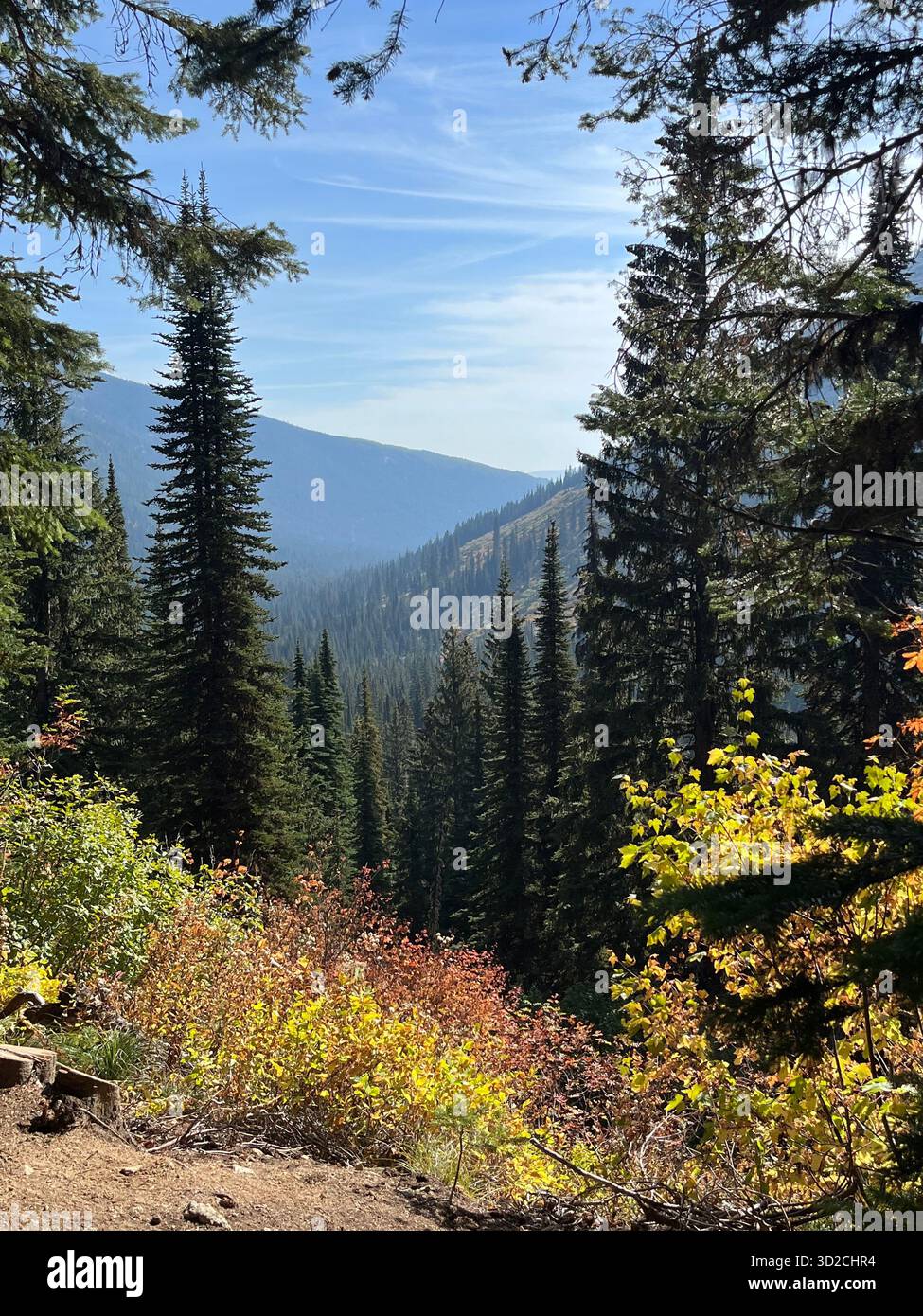 Rocky Idaho Mountains in Autumn Forest Under Sunny Sky - Smartphone Captured Stock Image