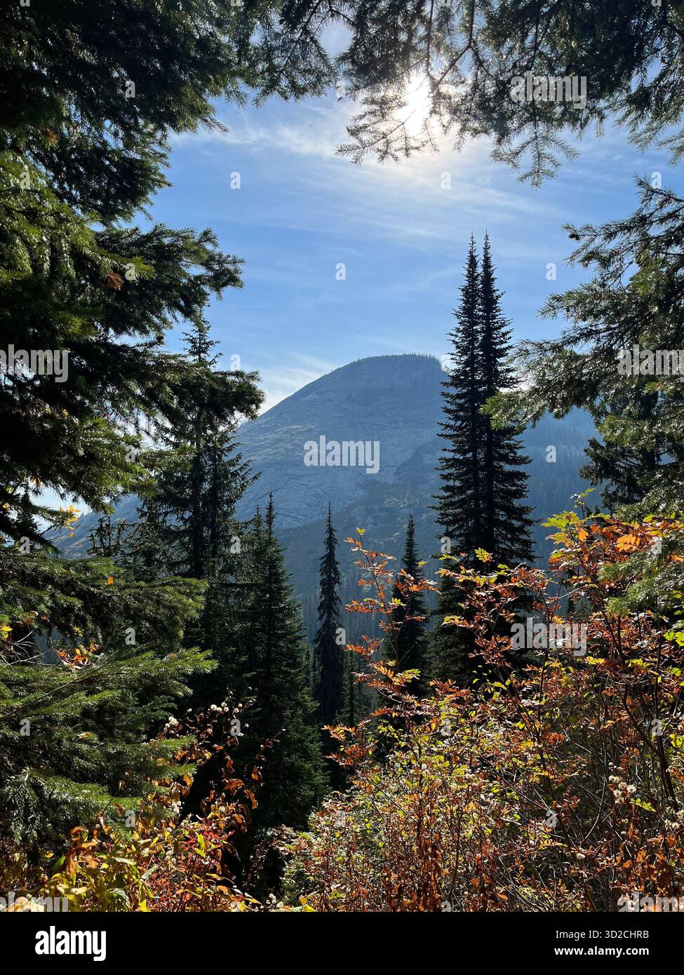 Rocky Idaho Mountains in Autumn Forest Under Sunny Sky - Smartphone Captured Stock Image