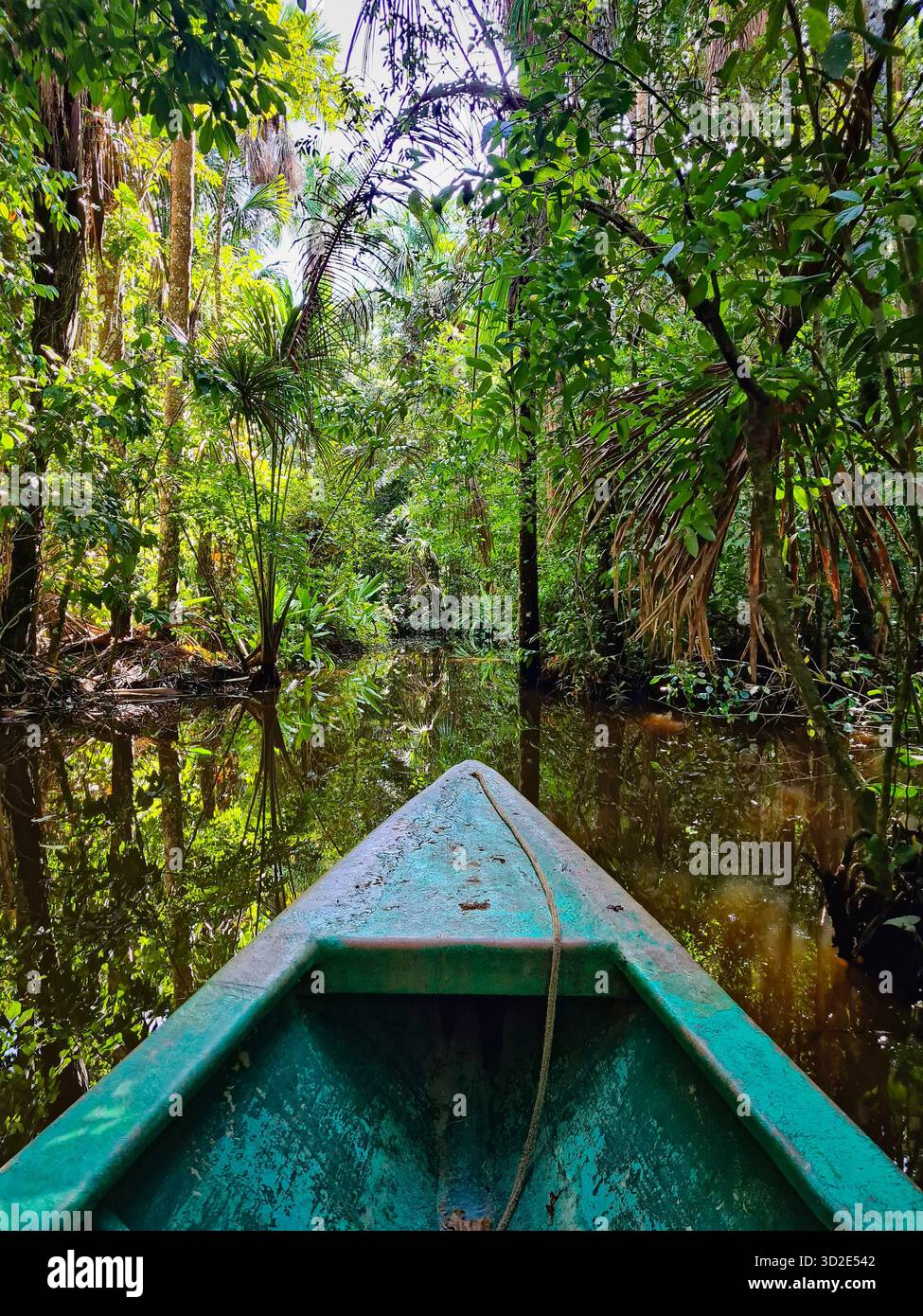Lush jungle landscape with canoe on a river in Sandoval Lake, Peru. - Smartphone Captured Stock Image