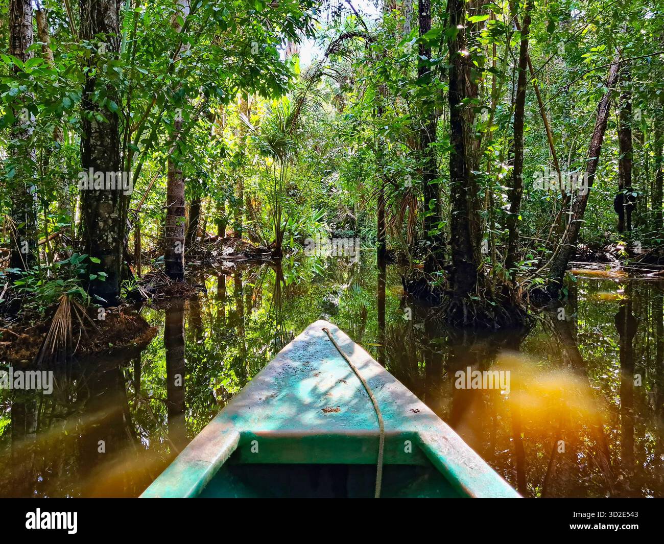POV boat ride through the flooded Amazon Rainforest near Puerto Maldonado, Peru. - Smartphone Captured Stock Image