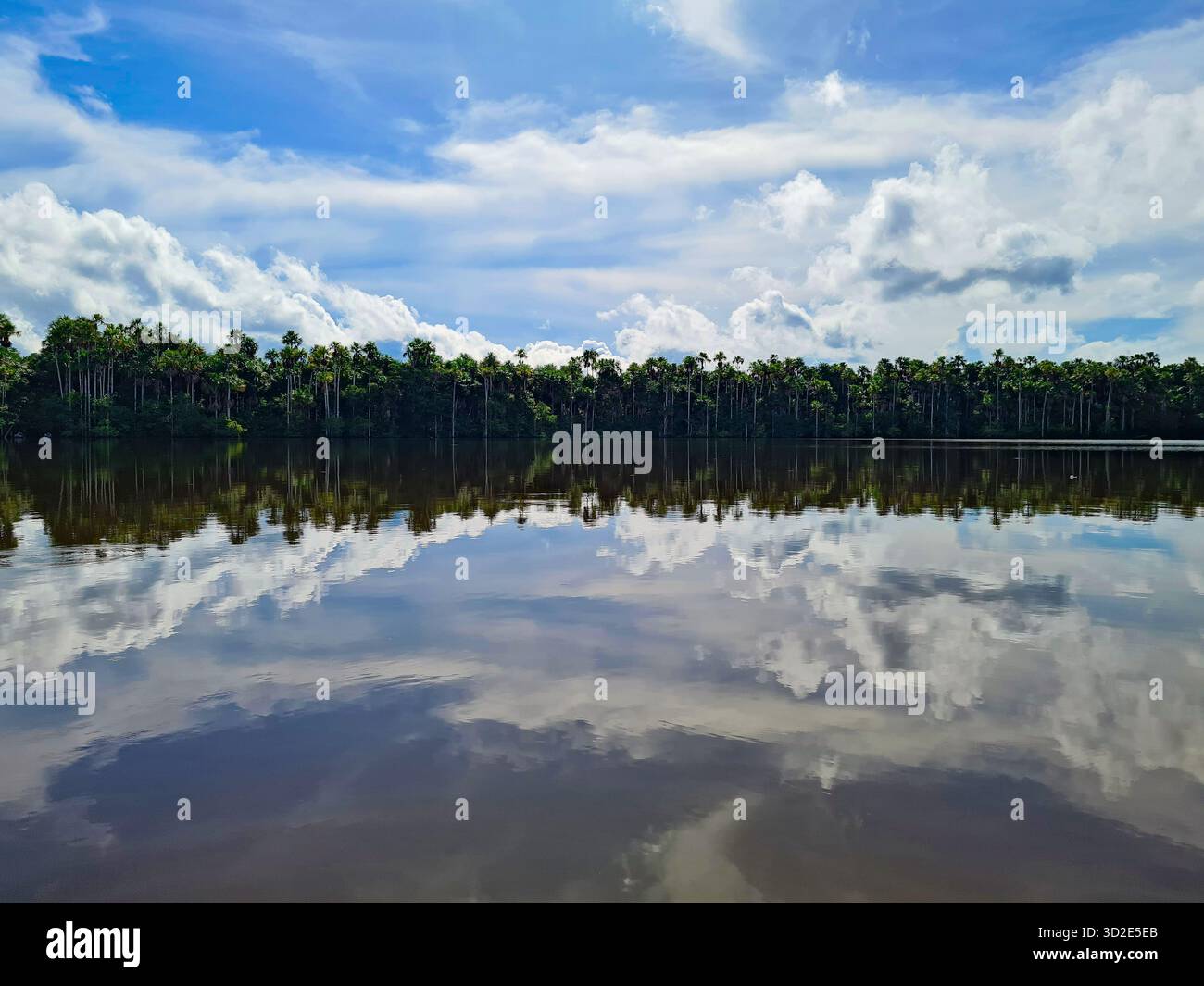 Calm waters of Lago Sandoval in the Peruvian Amazon, Peru. - Smartphone Captured Stock Image