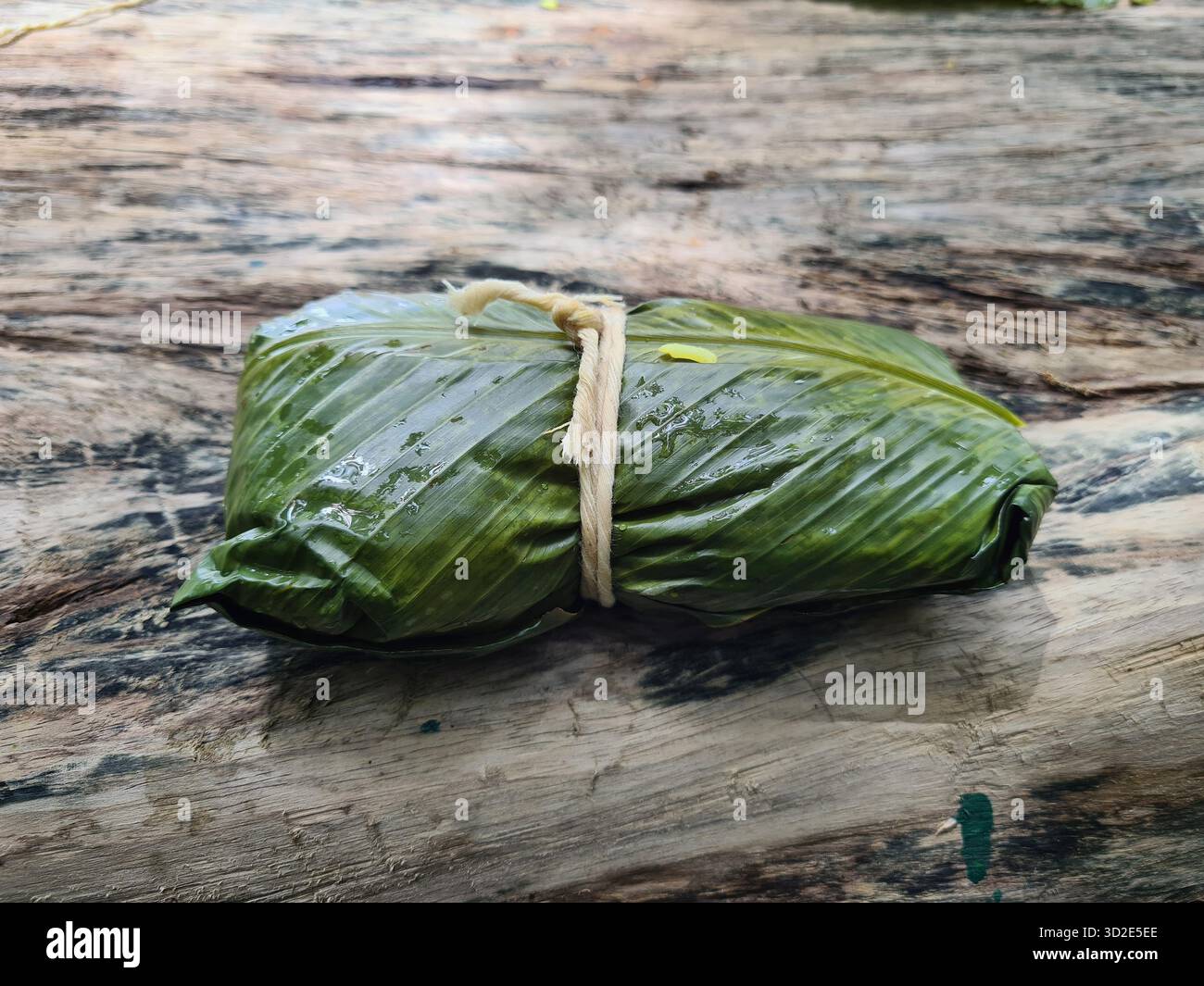 Traditional Peruvian Juane wrapped in banana leaf at Sandoval Lake, Peru. - Smartphone Captured Stock Image