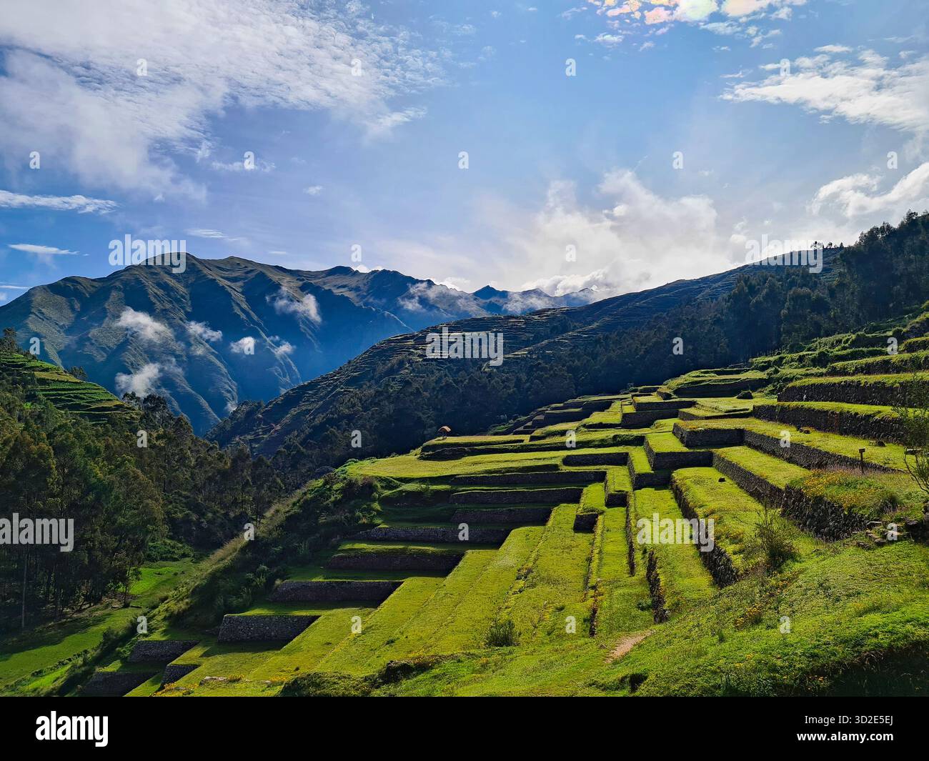 Ancient Inca Terraces in the Sacred Valley, Cusco, Peru. - Smartphone Captured Stock Image