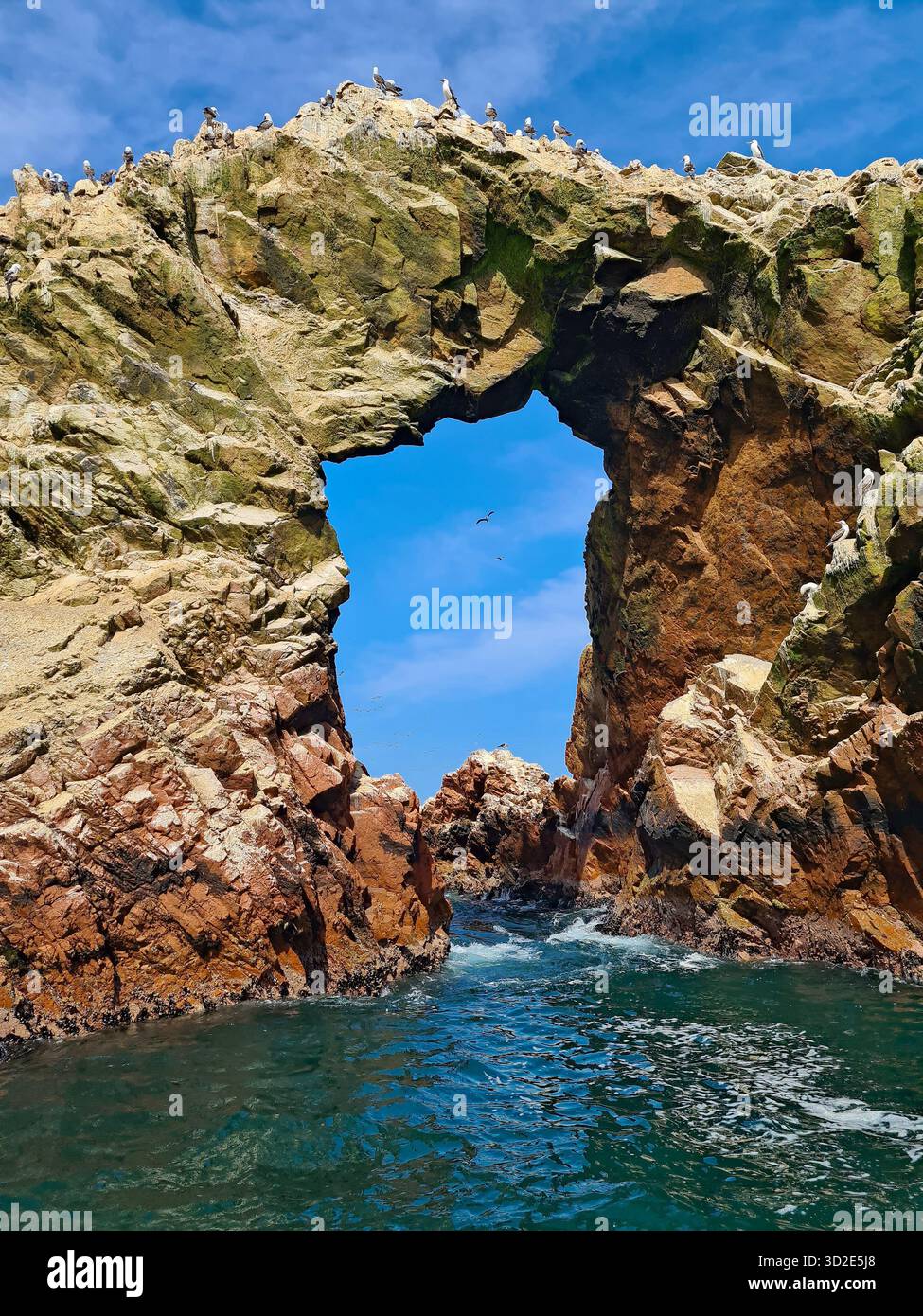 Natural rock arch and seabirds at Ballestas Islands, Paracas, Peru - Smartphone Captured Stock Image