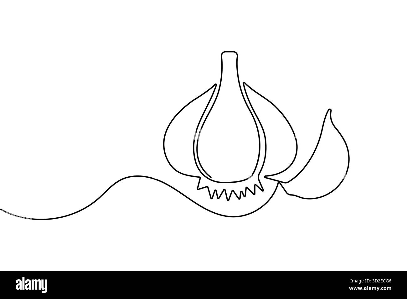 Garlic Simple Graphics Garlic continuous one line drawing and minimalist style isolate outline ...