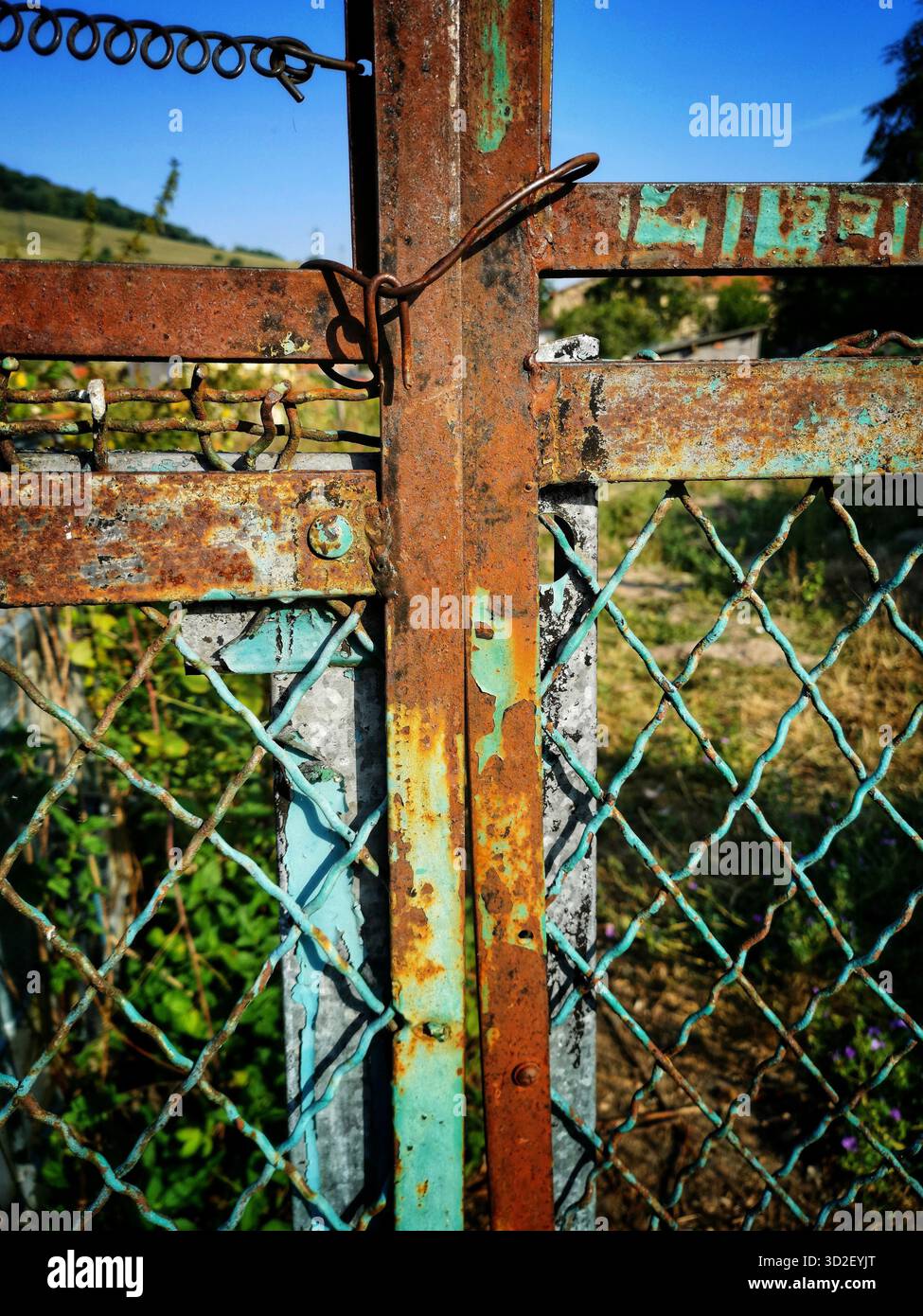 A weathered metal gate shows significant rust and wear, standing in a lush green area. - Smartphone Captured Stock Image
