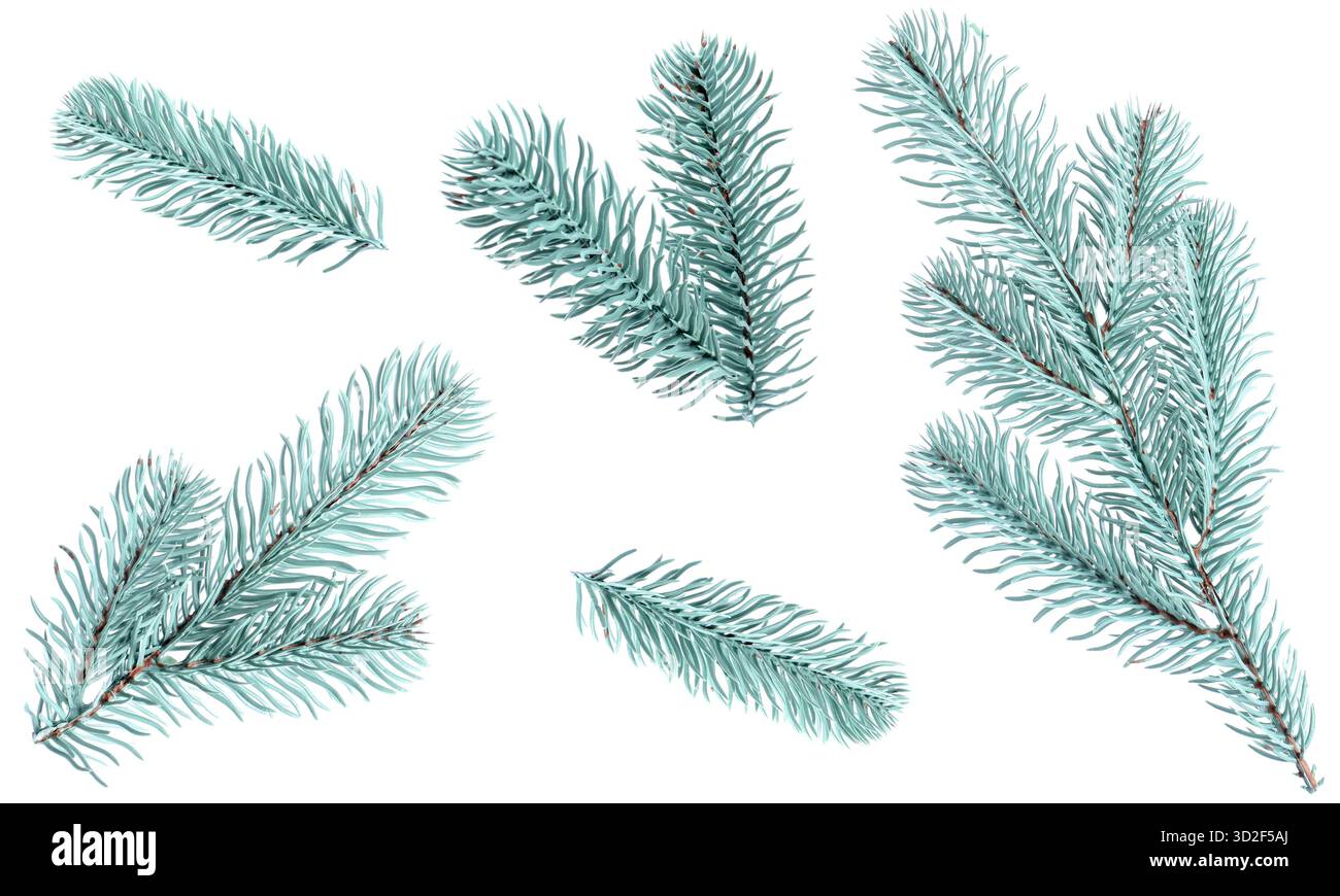 Christmas tree branches isolated on white, set Stock Photo - Alamy