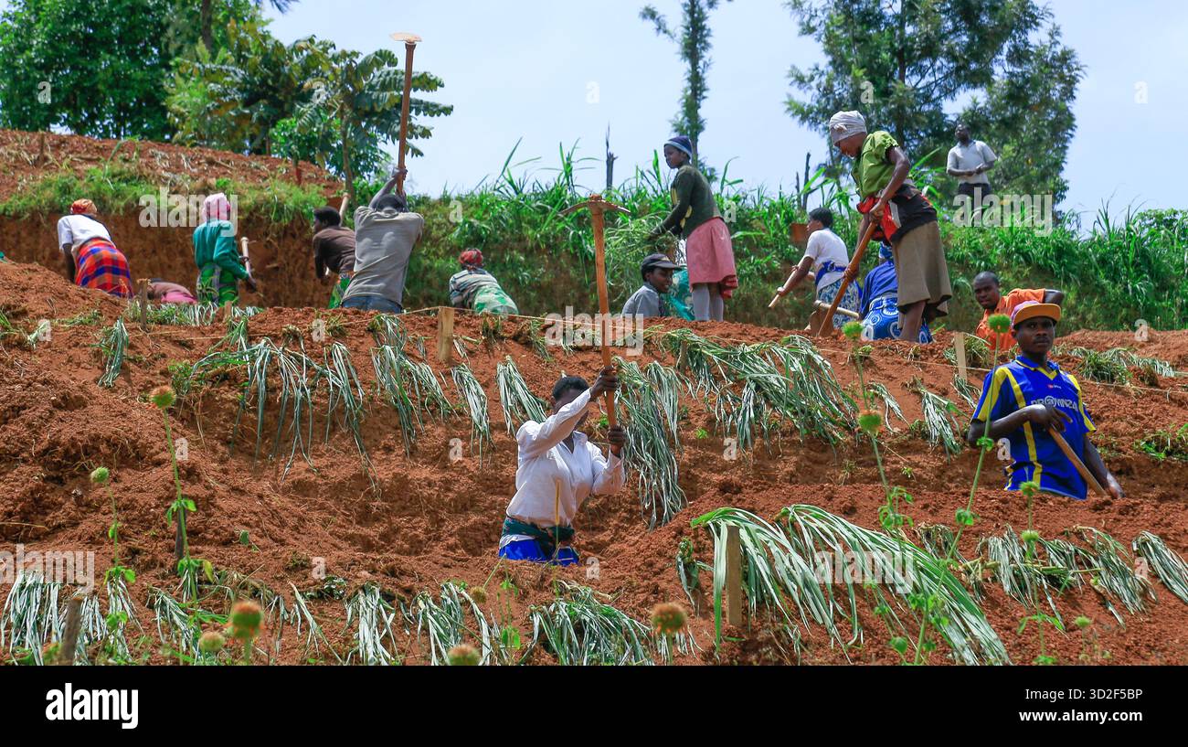 Farms In Rwanda Terrace farming rwanda hi-res stock photography and images - Alamy