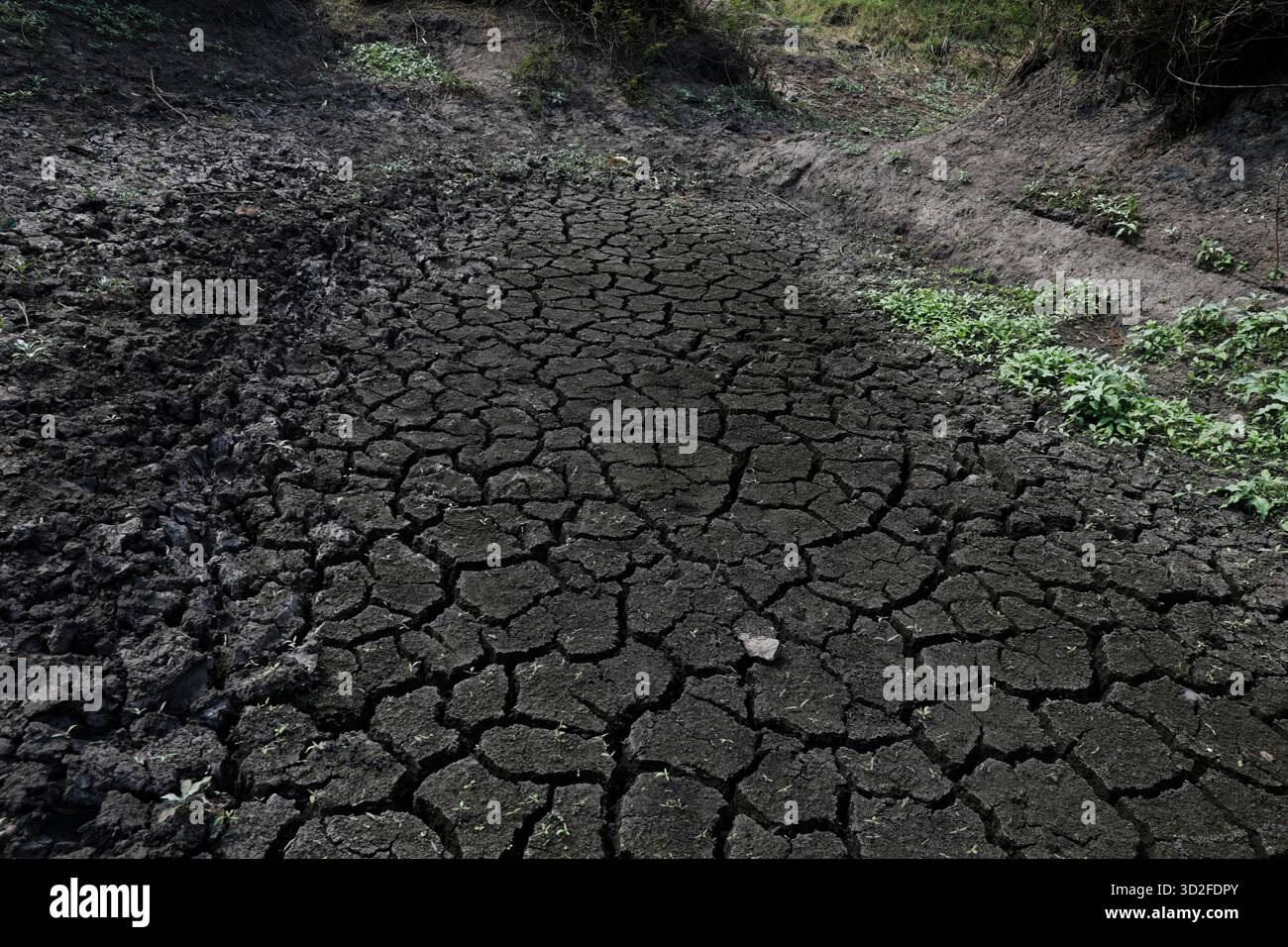 Drought in rwanda hi-res stock photography and images - Alamy