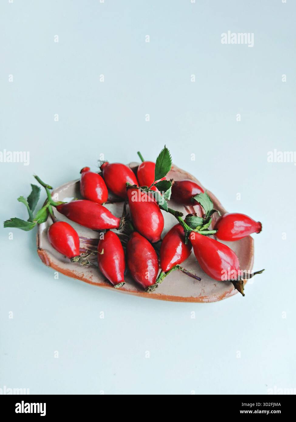 Rose hips berries on ceramic board with green leaves on light background Stock Photo
