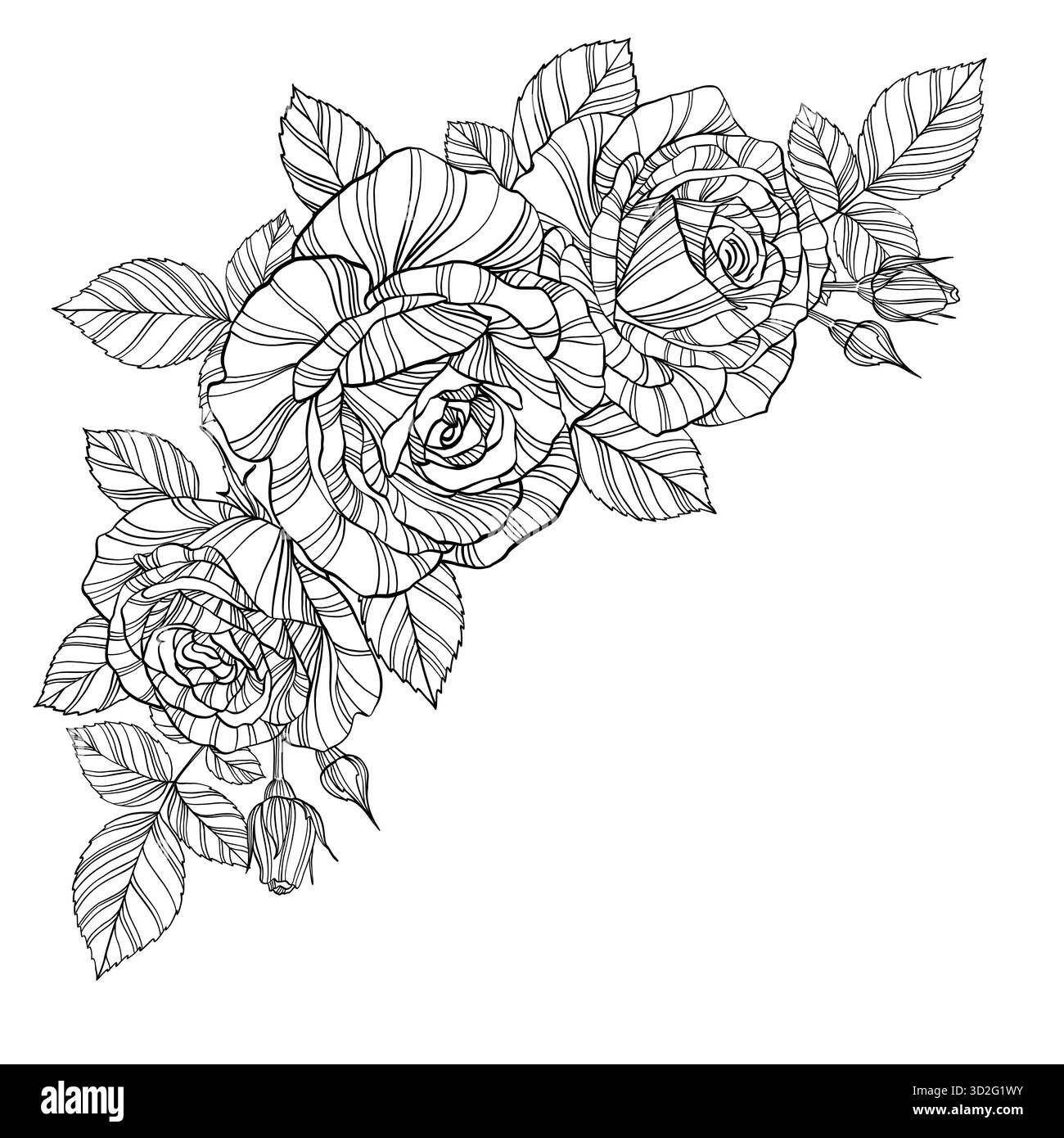 beautiful black and white bouquet rose and leaves. Floral arrangement ...