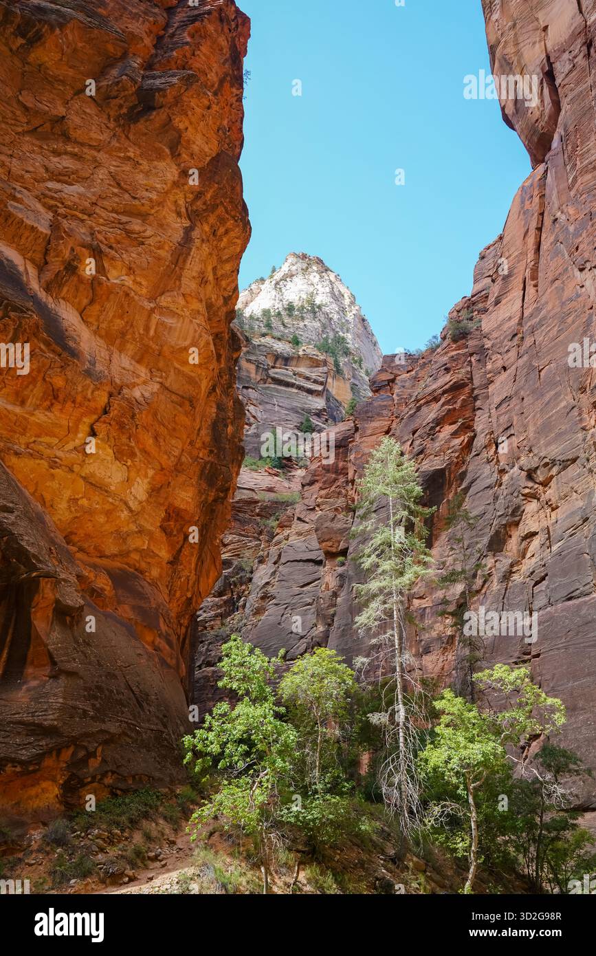 Revealing sandstone patterns hi-res stock photography and images - Alamy