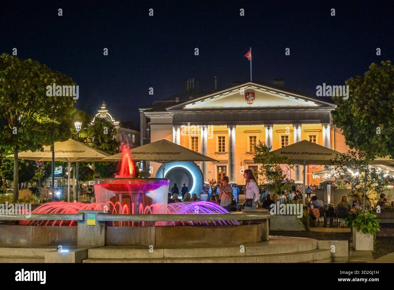 Abendliche Szene, Brunnen, Rathaus, Rathausplatz, Altstadt, Vilnius, Litauen Stock Photo