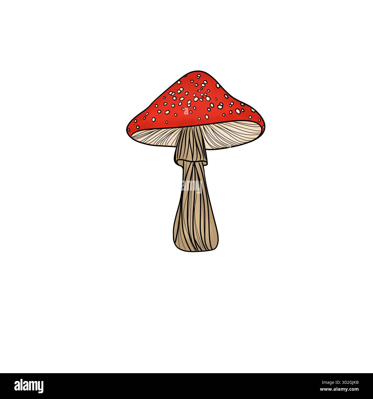 Hand-Drawn Illustration of a Classic Fly Agaric Mushroom Stock Photo ...