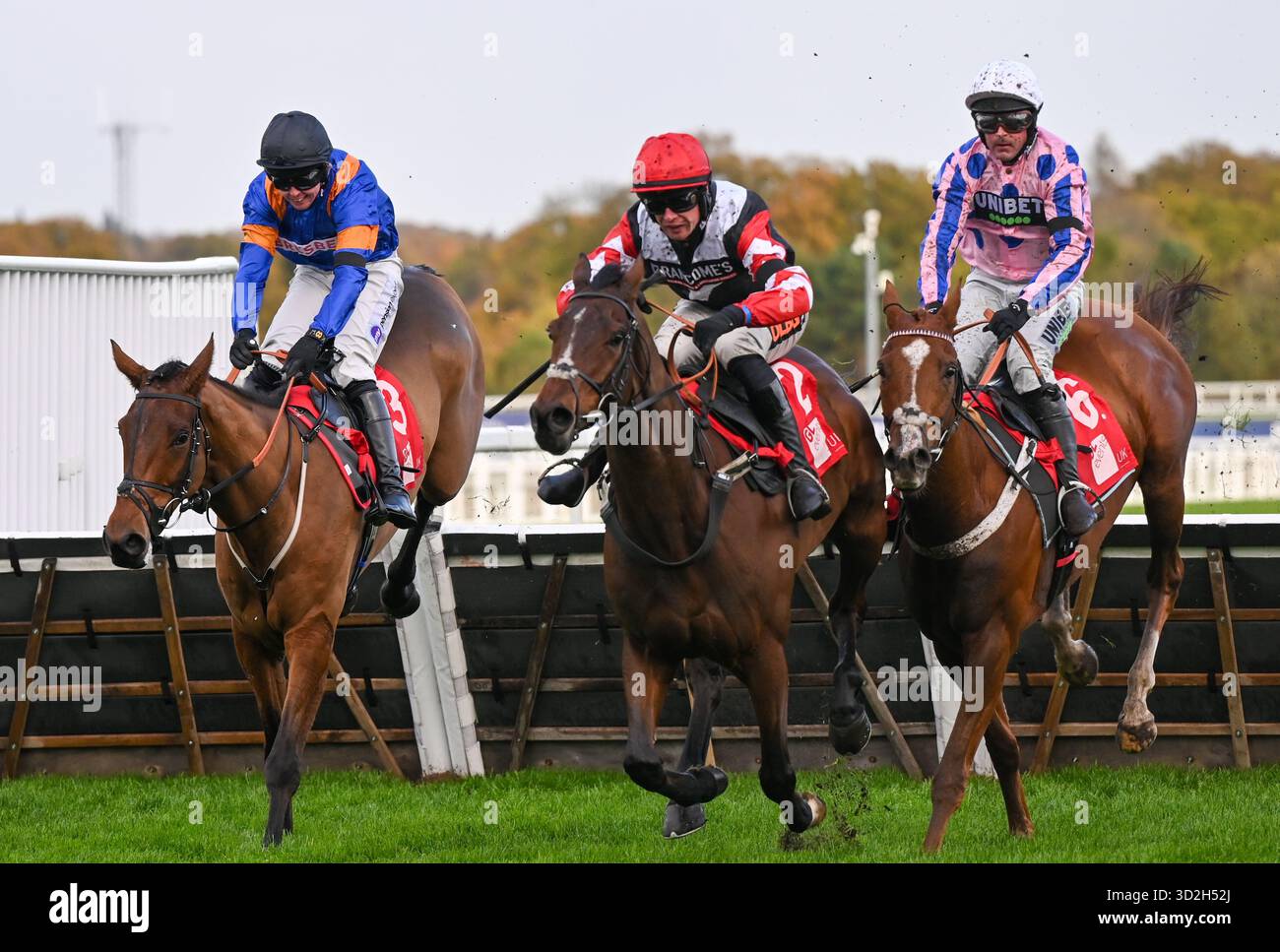 Ascot, UK. 1 November, 2025. Military Alliance ridden by Paul O'Brien ...