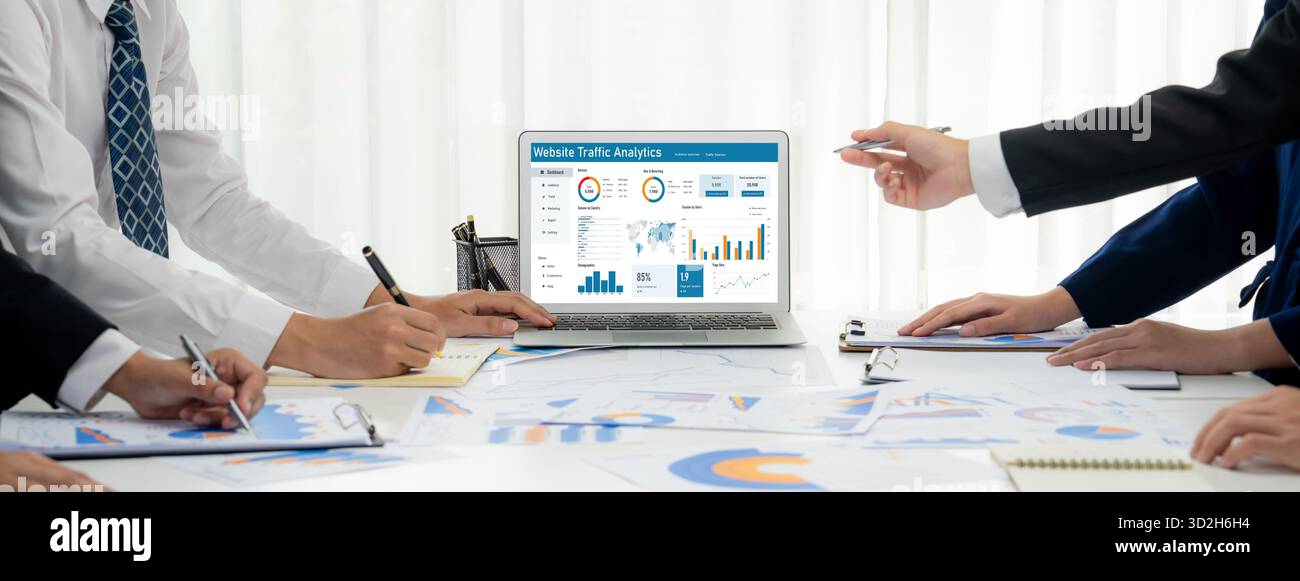 Computer software for website traffic analytics data on computer screen. Concept of SEO search engine optimization and customer targeting for online b Stock Photo