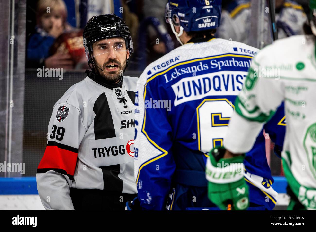 Svenska Ishockeyförbundet 1995 Sweden Men's National Ice Hockey Team
