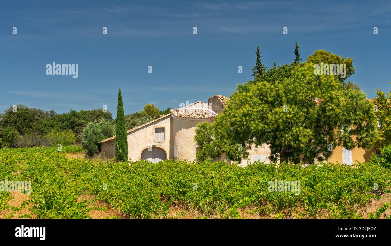 A rural home and vineyards near Buisson, Provence Drome, Europe. Stock Photo