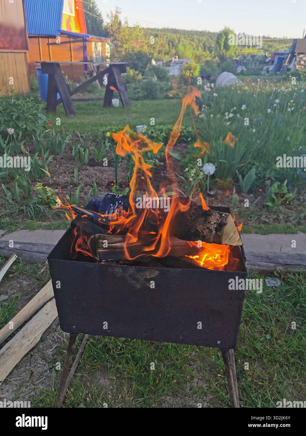 @tatyanasuworowa - Smartphone Captured Stock Image