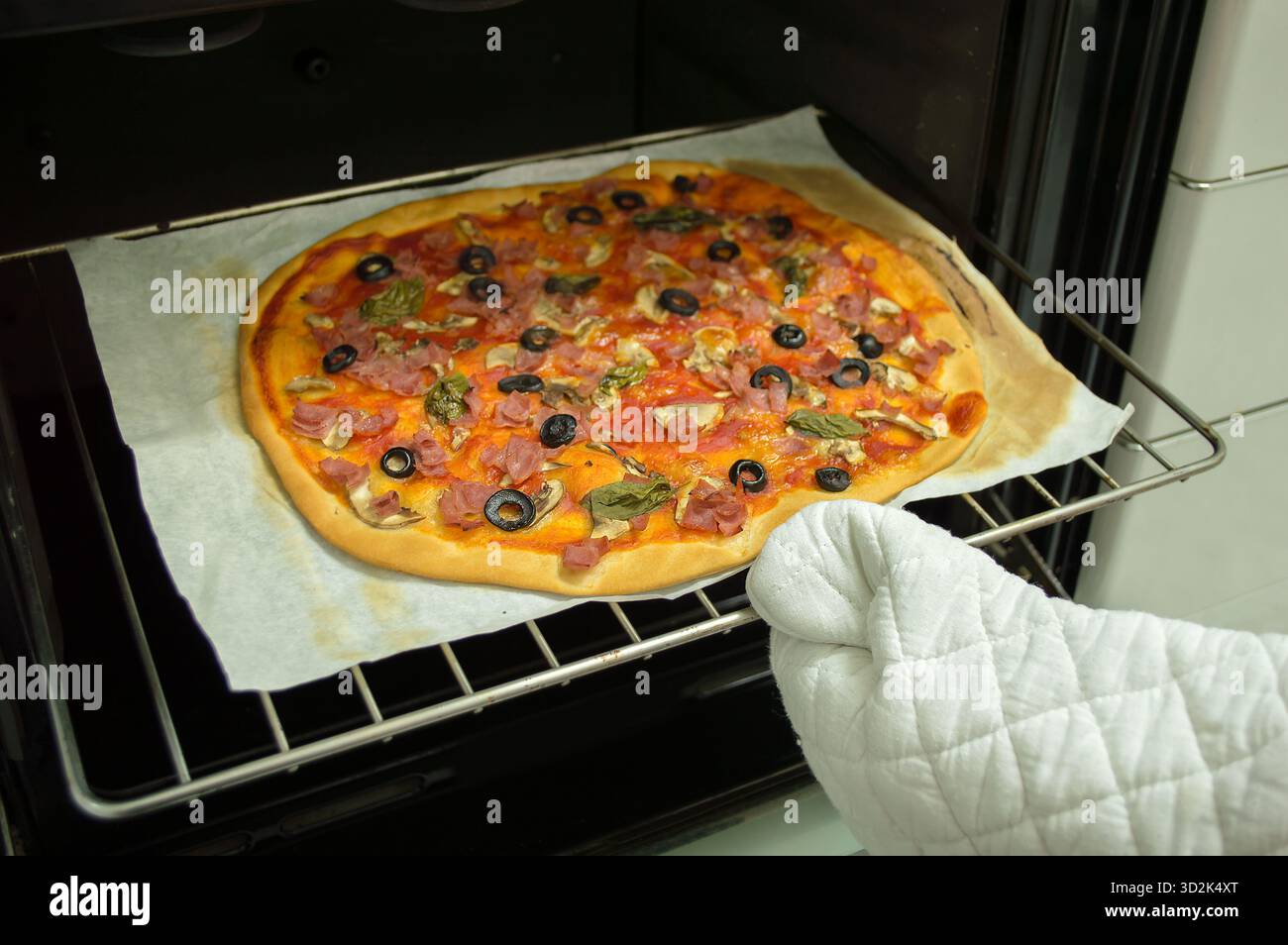 close up of hand with oven mitt takes out the pizza of the oven Stock Photo