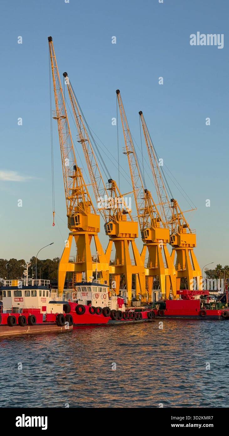 Row of yellow port cranes and red barges at a harbor during golden hour. Industrial waterfront, clear sky. - Smartphone Captured Stock Image